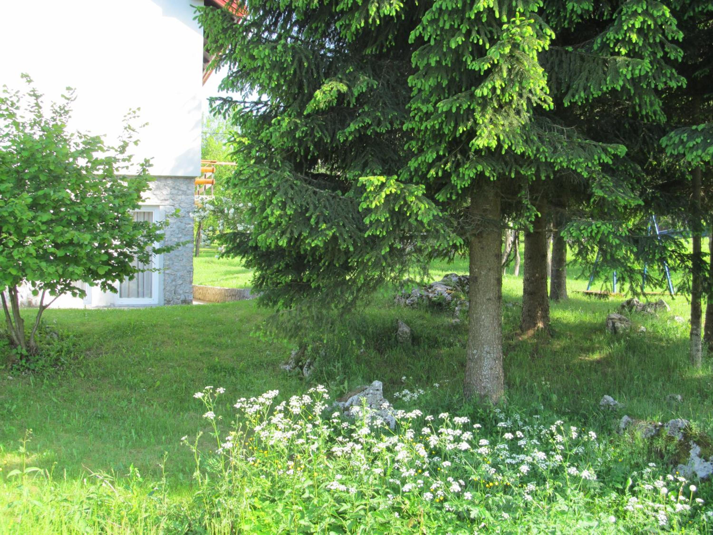Photo 36