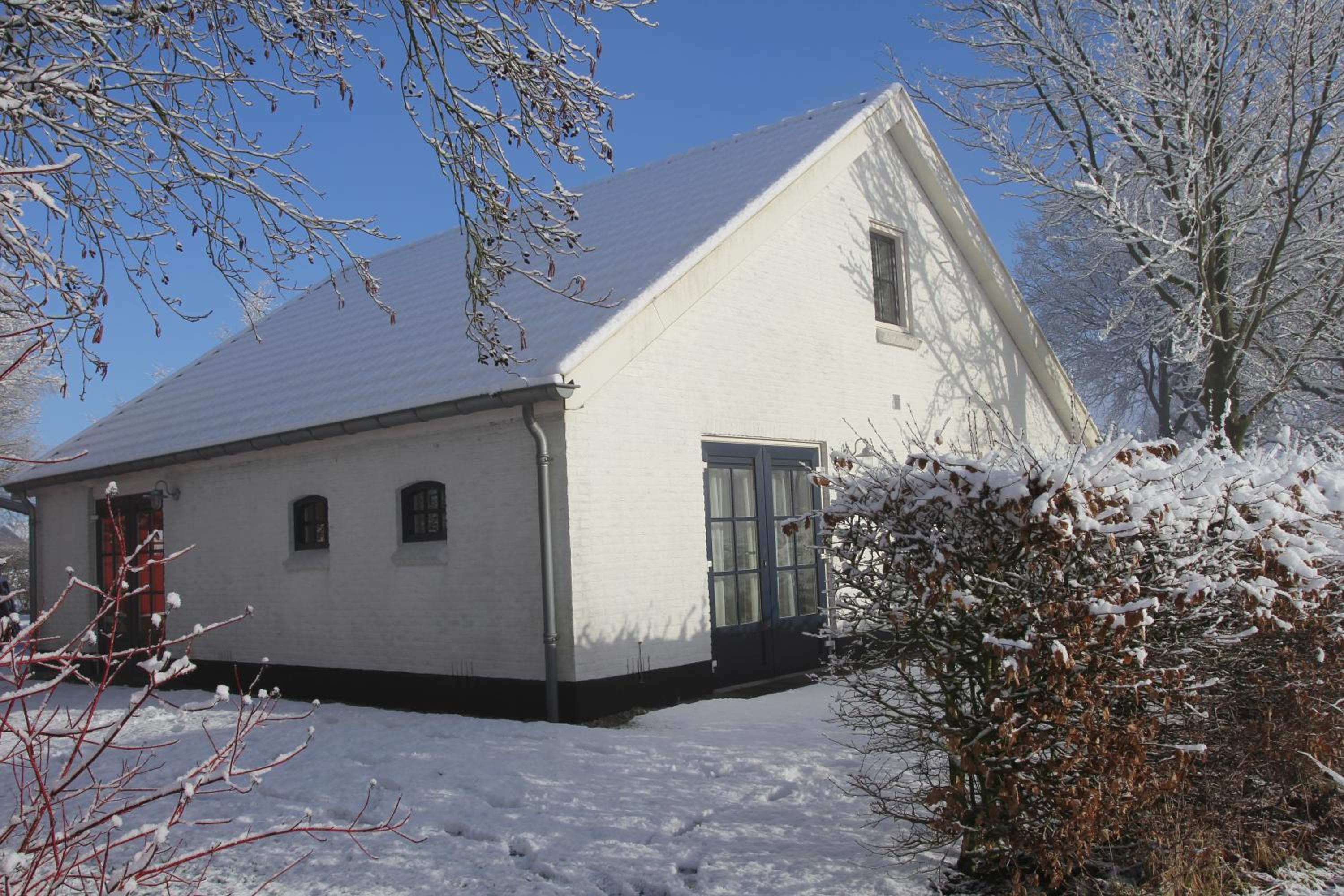 Photo 8
