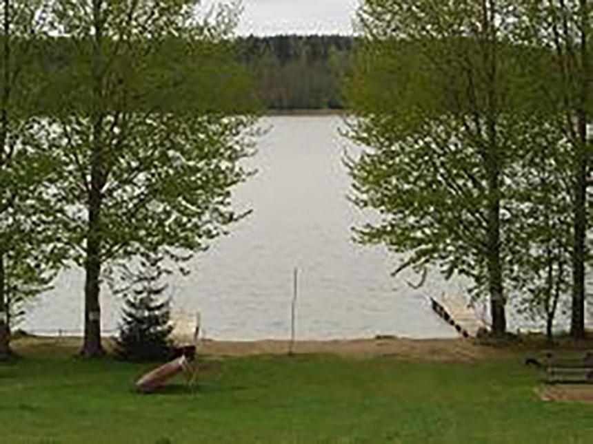 Photo 113