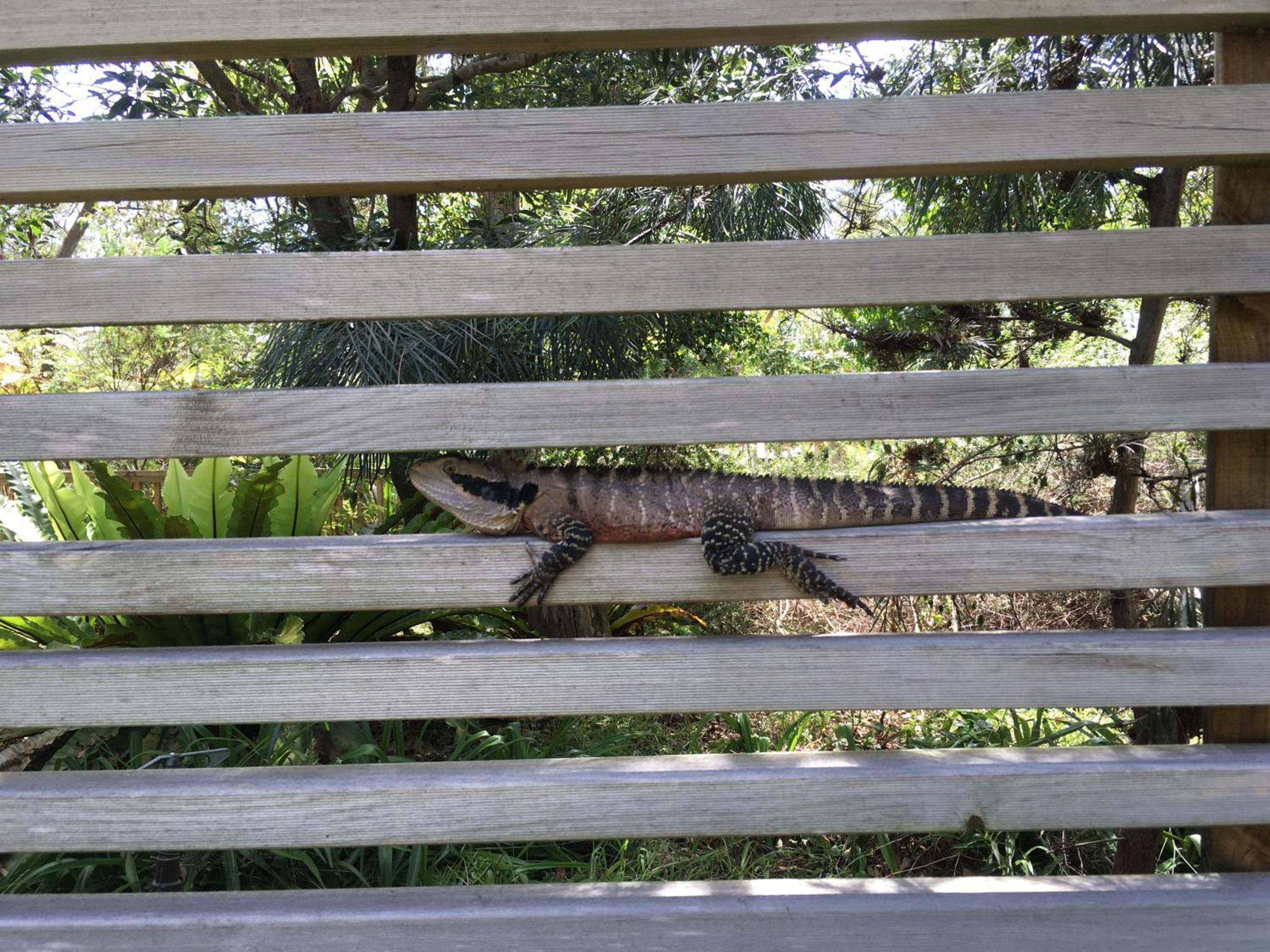 Discovery Parks - Lane Cove