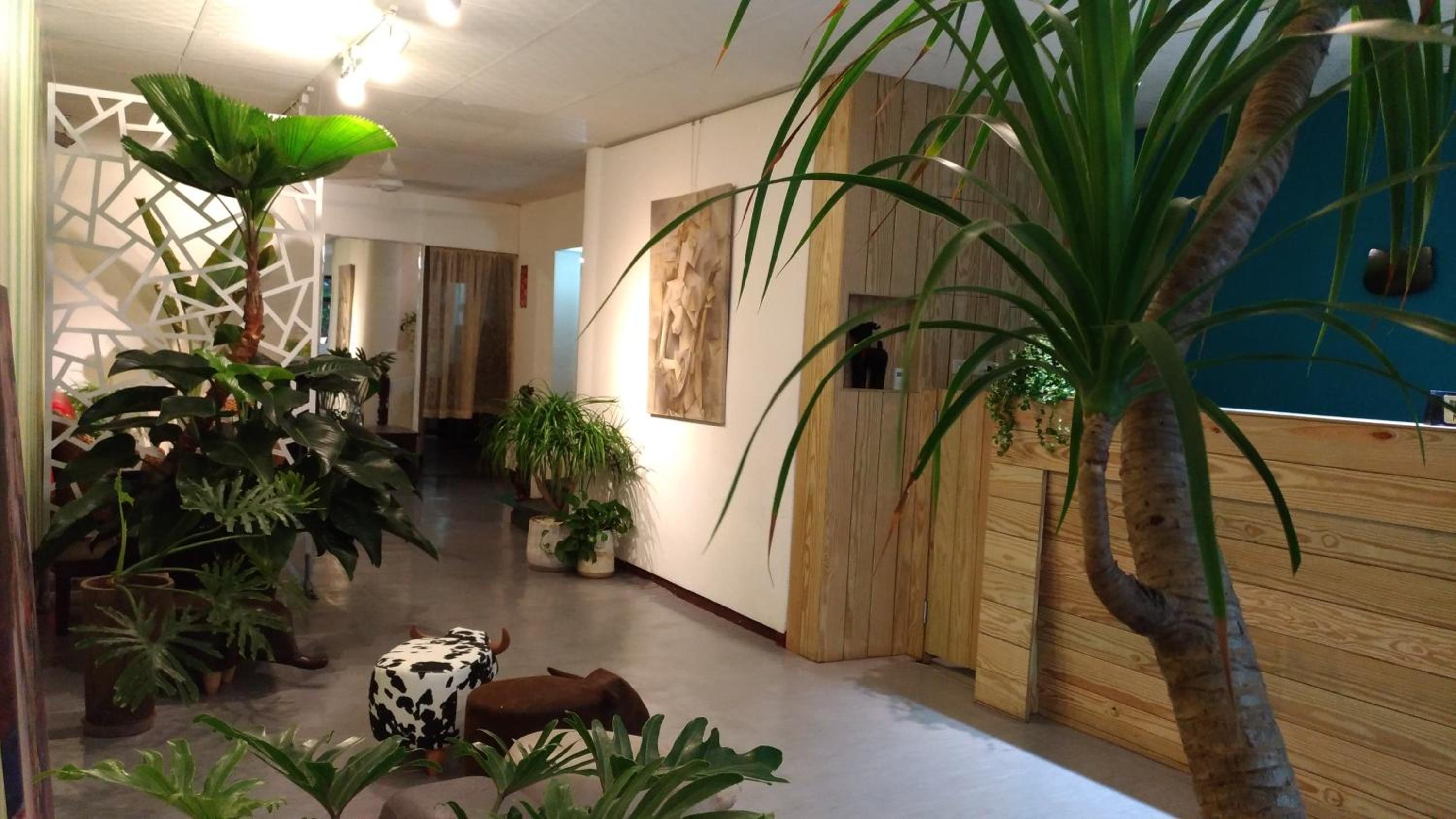 recepcion & lobby