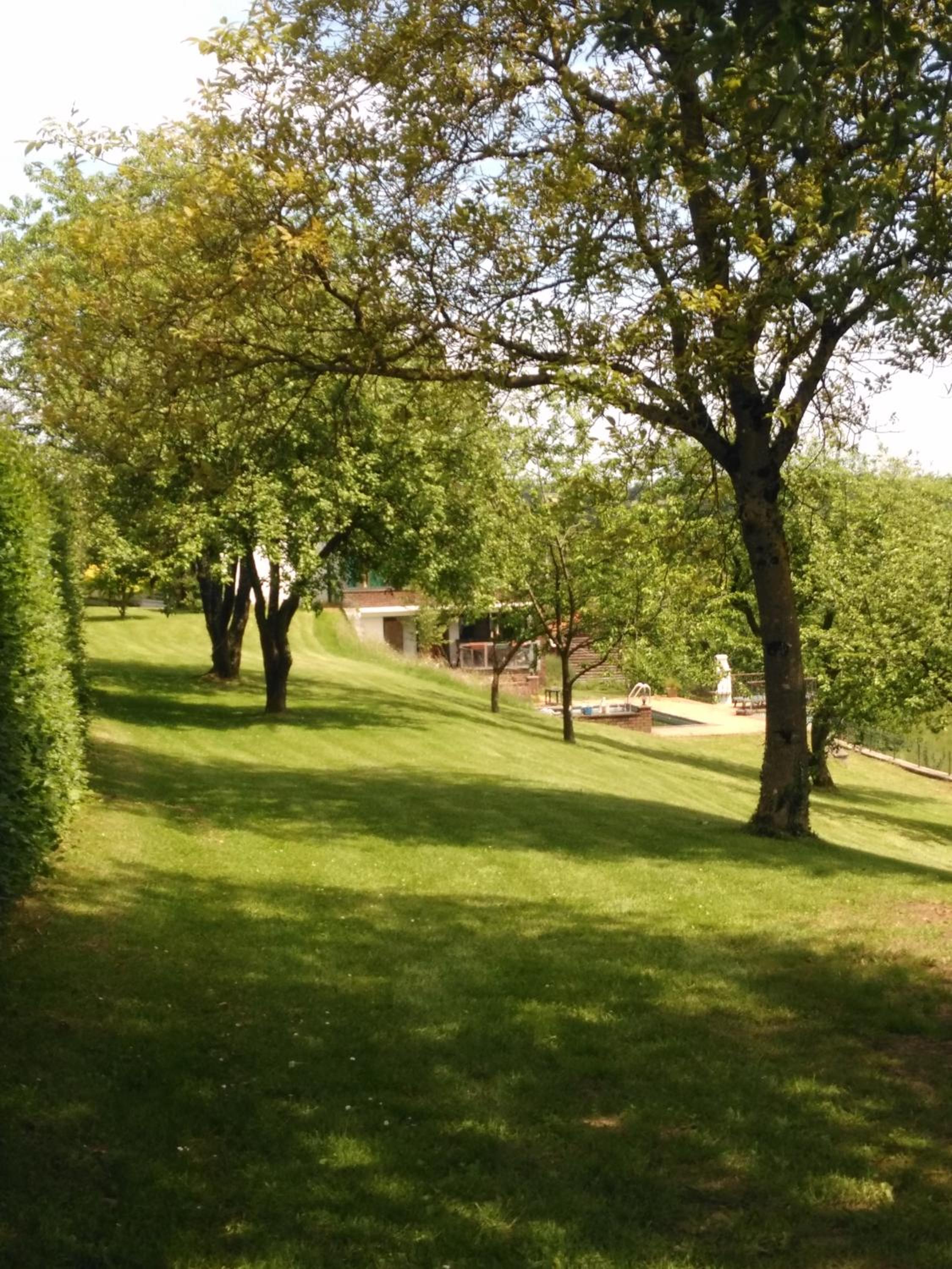 Gite des 3 bouleaux