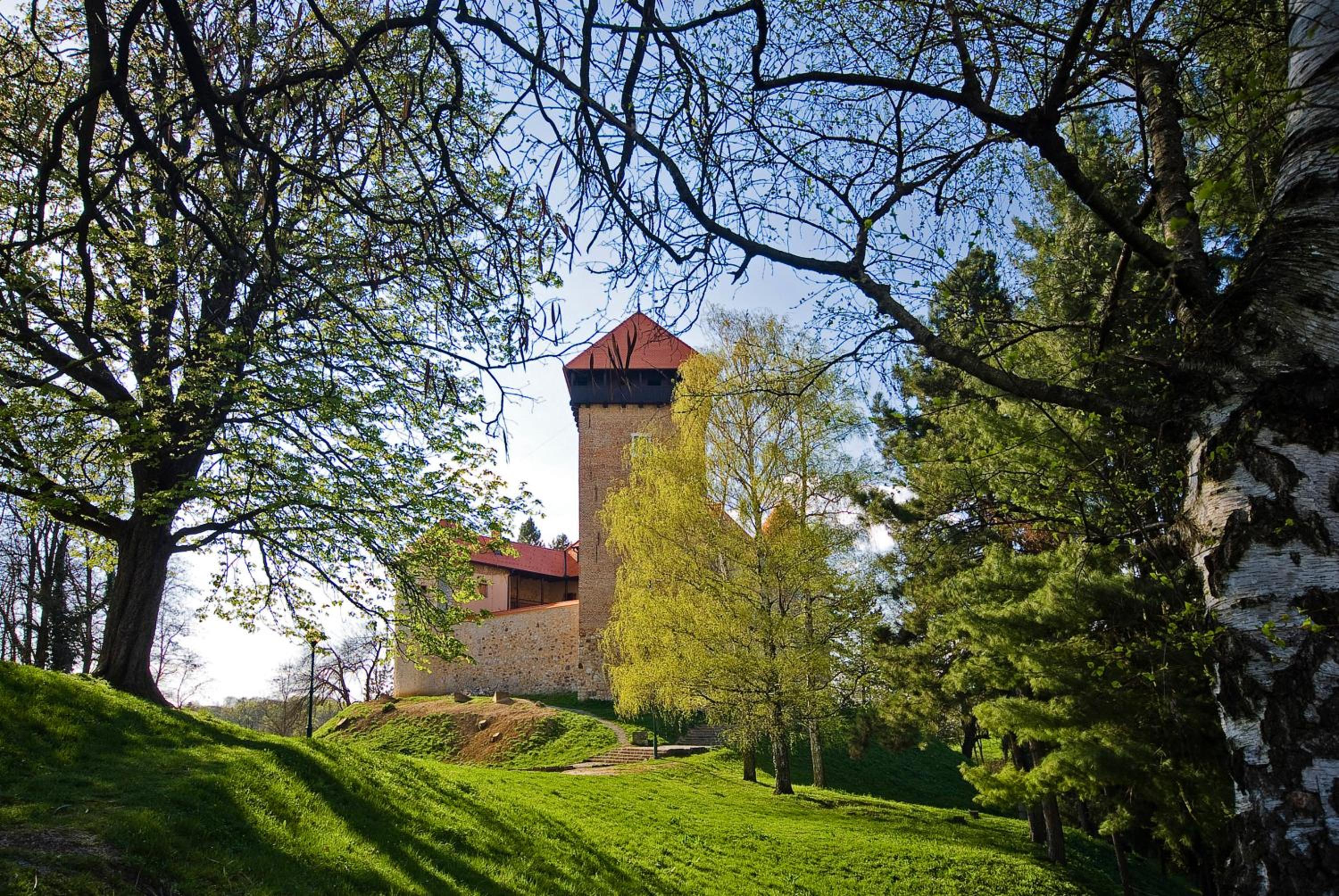 Photo 43