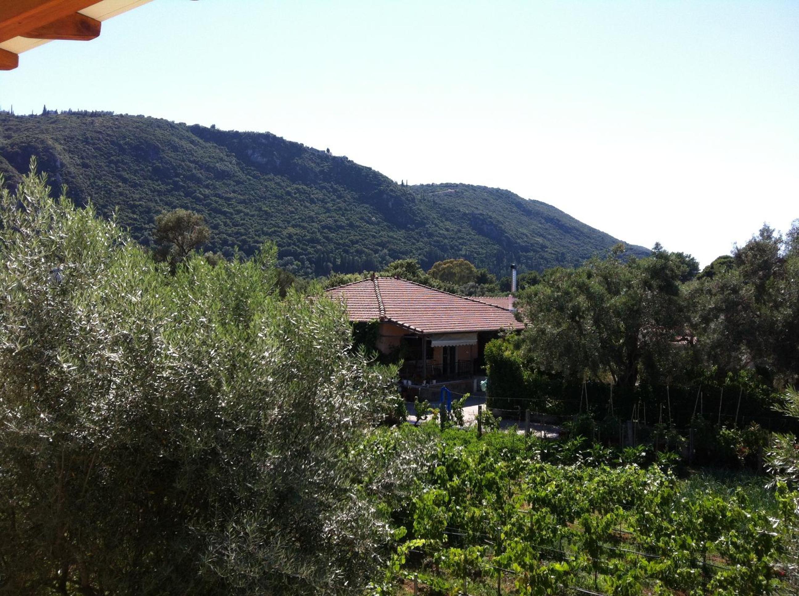 Photo 22