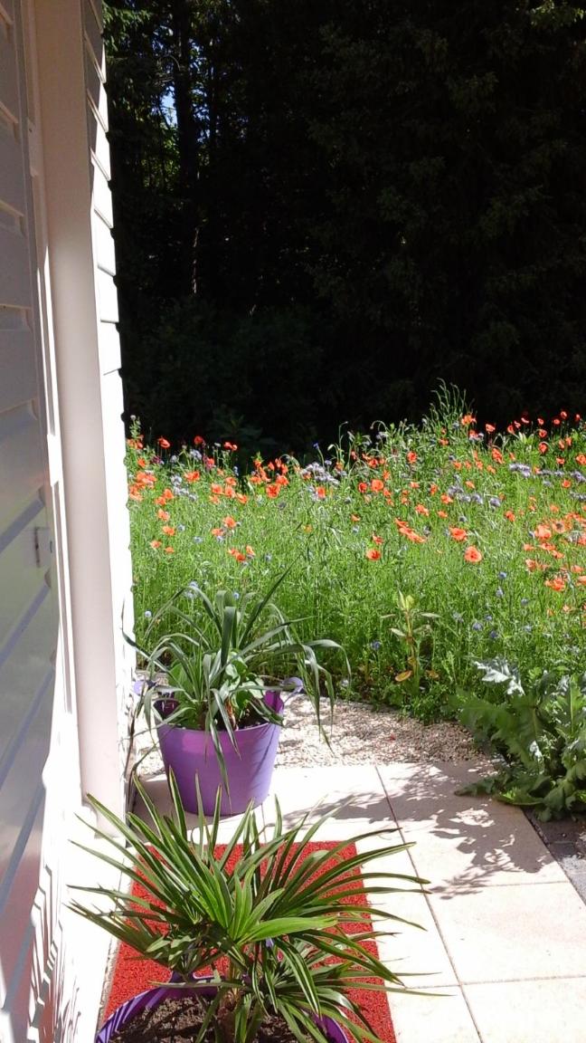 Het Findament Tiny house view 4
