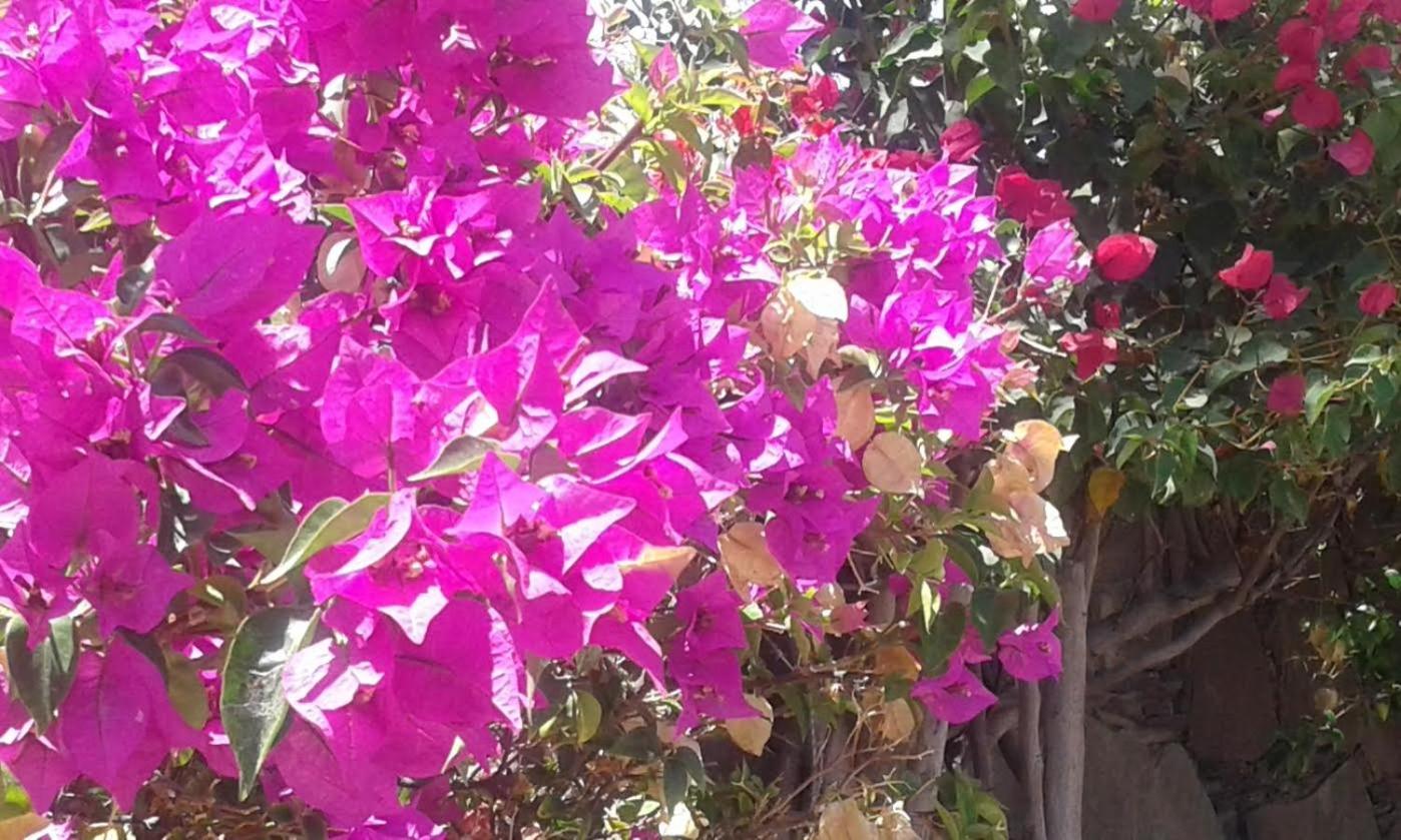 Photo 58