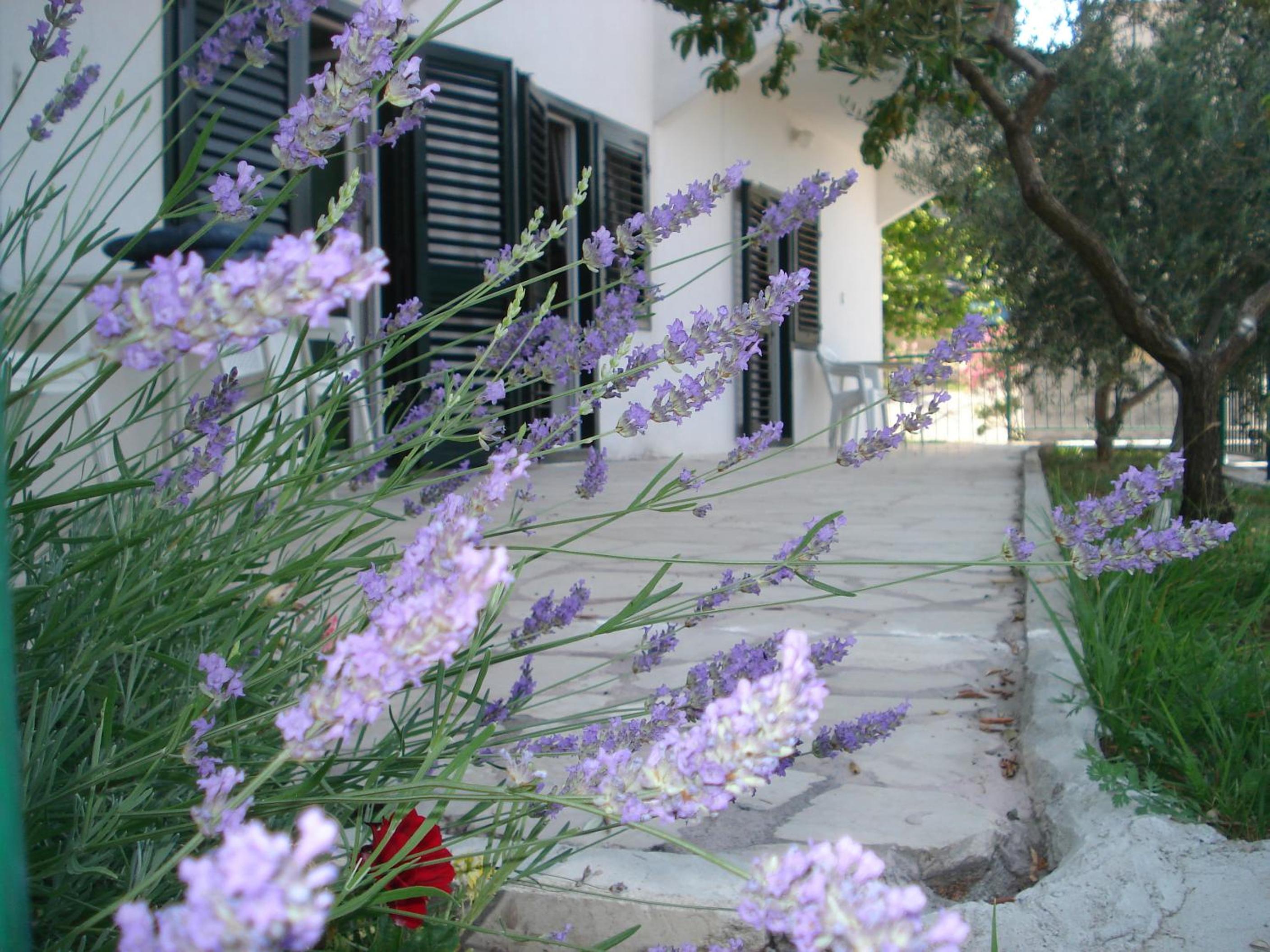 Apartments Smiljana