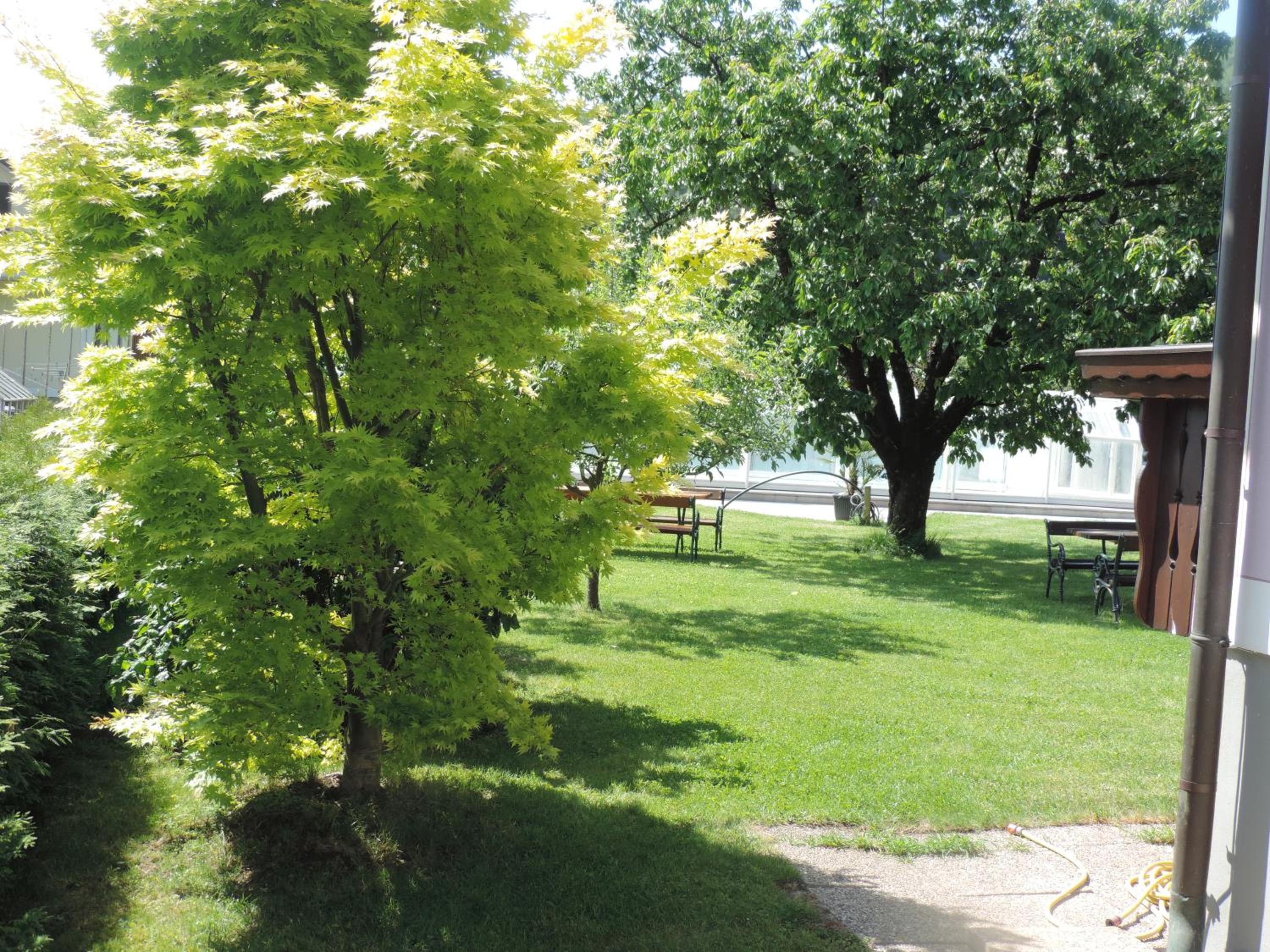 Photo 27