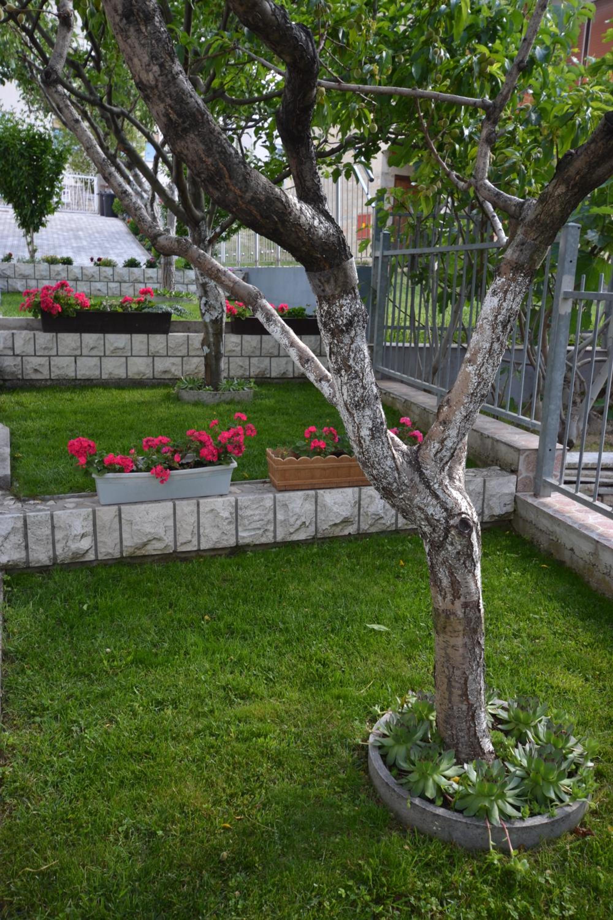 Photo 16