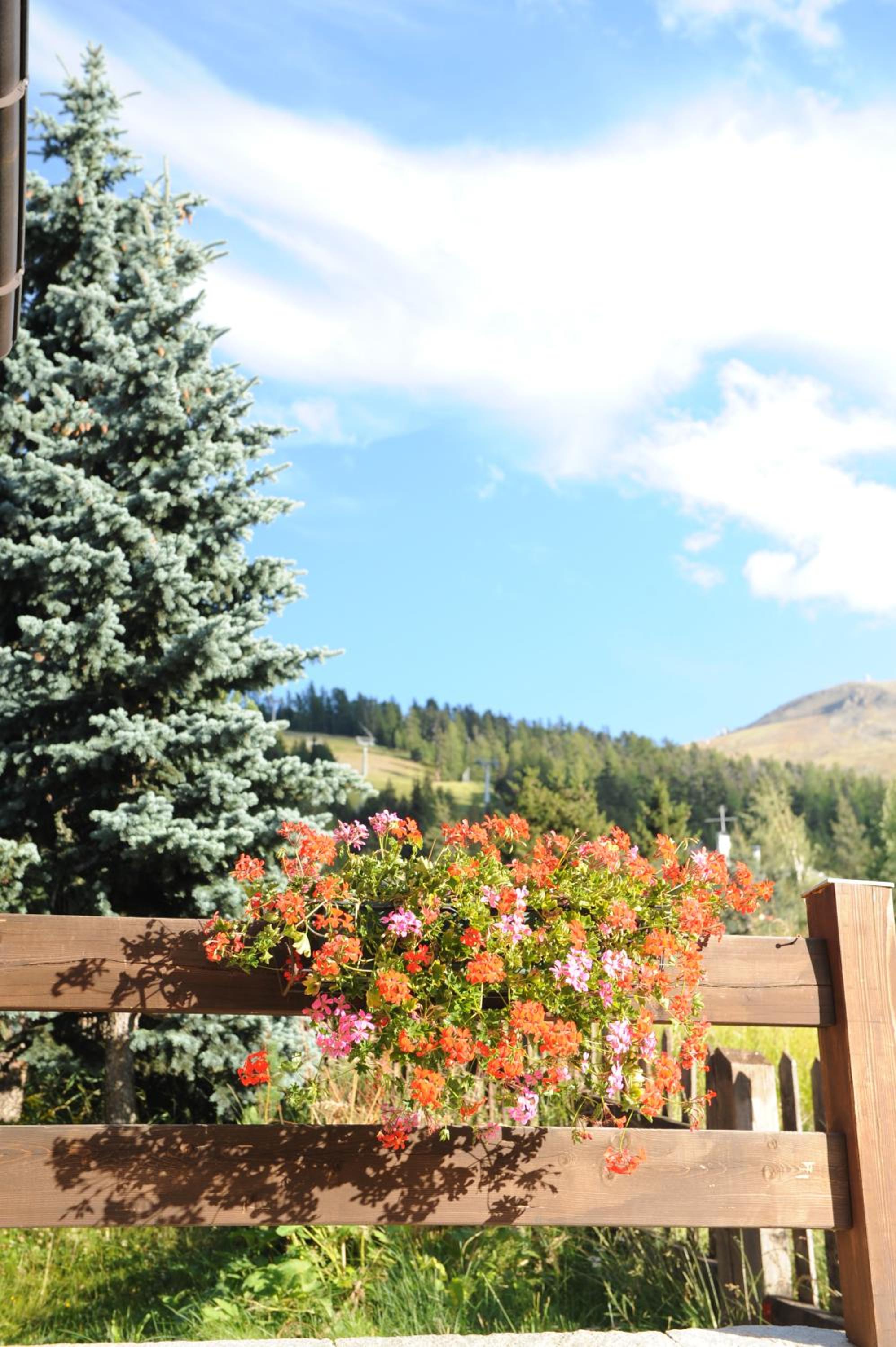 Chalet Garden en Livigno