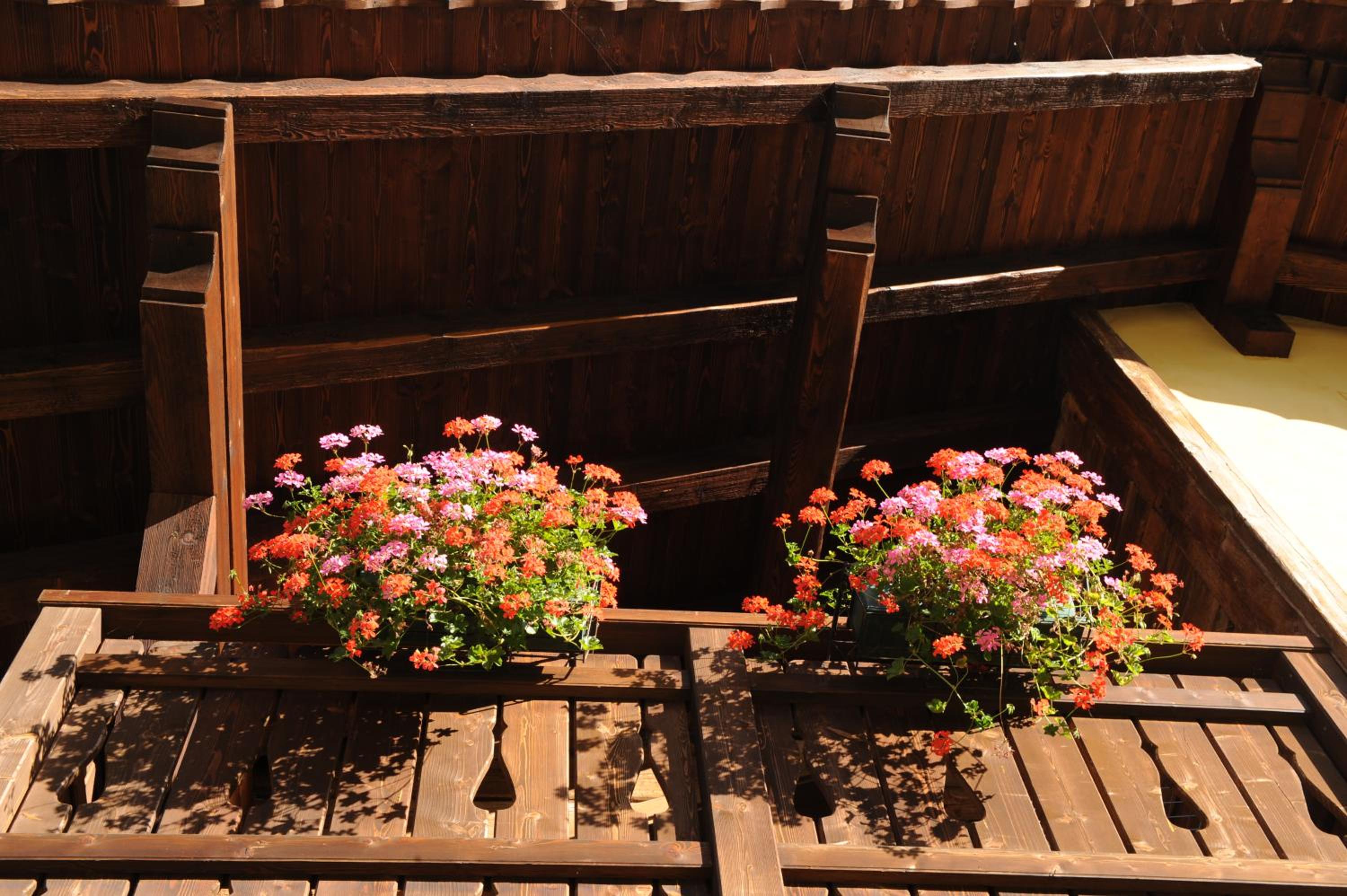 Chalet Garden