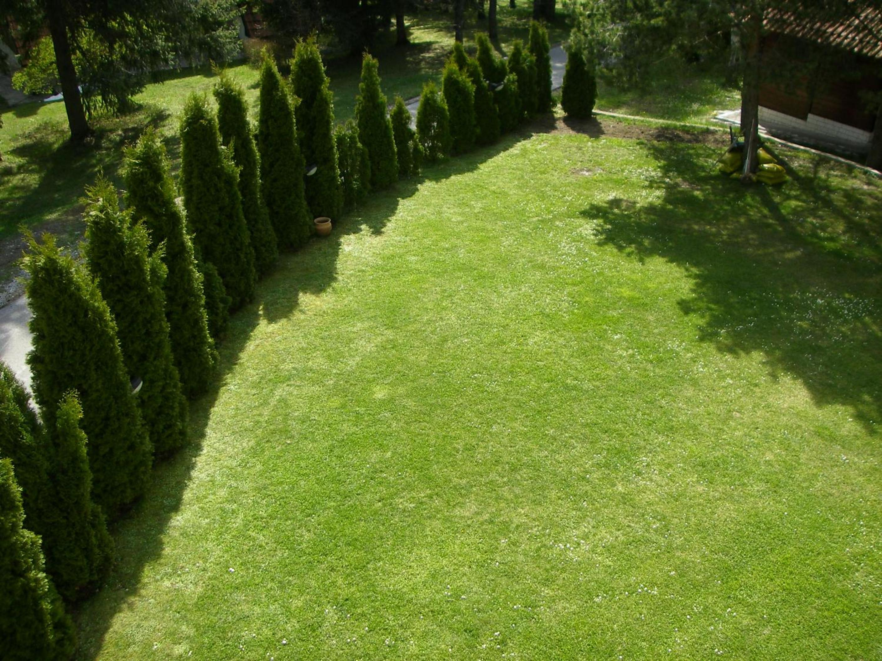 Photo 24