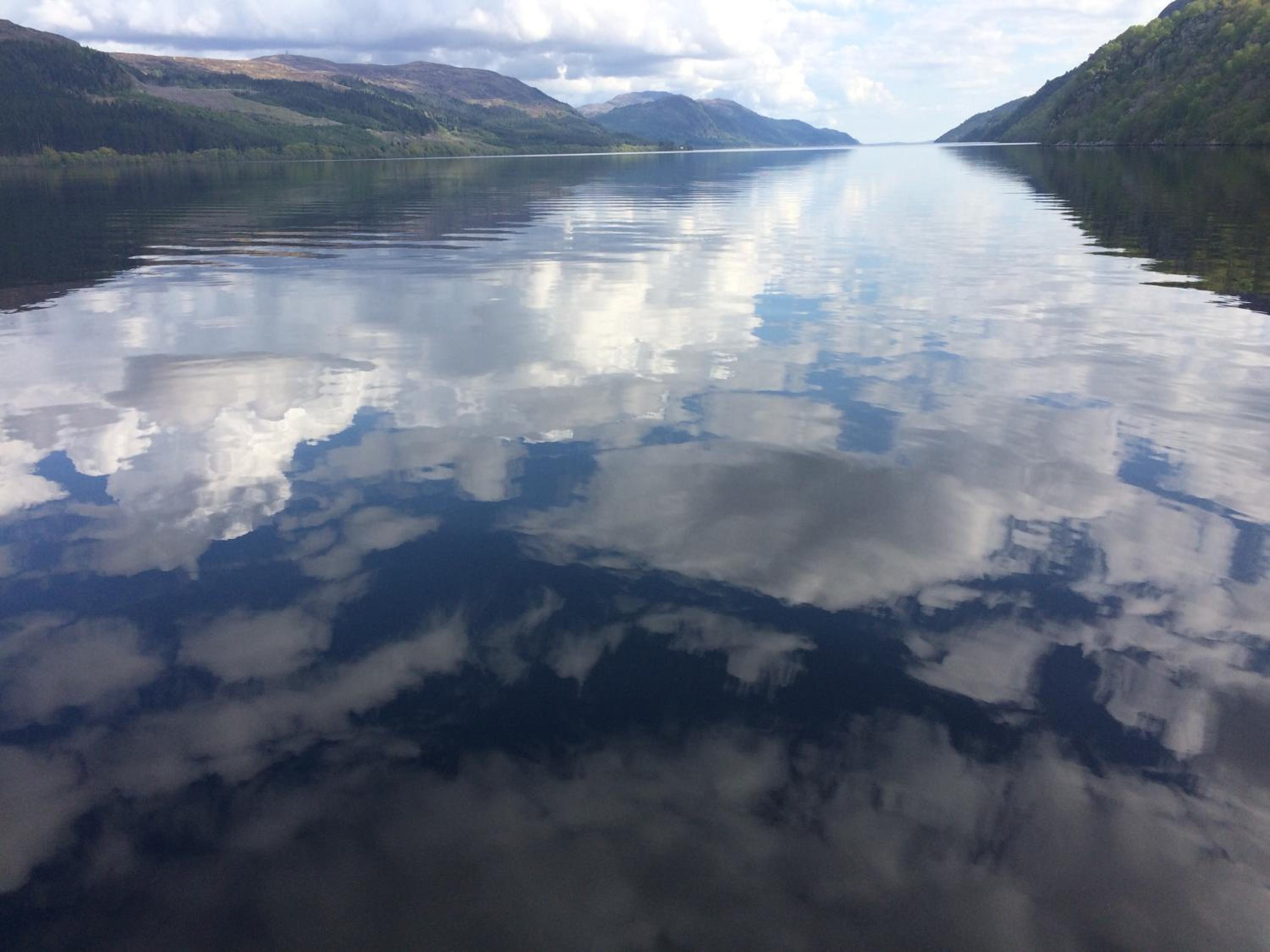 The Wee Lodge view 4