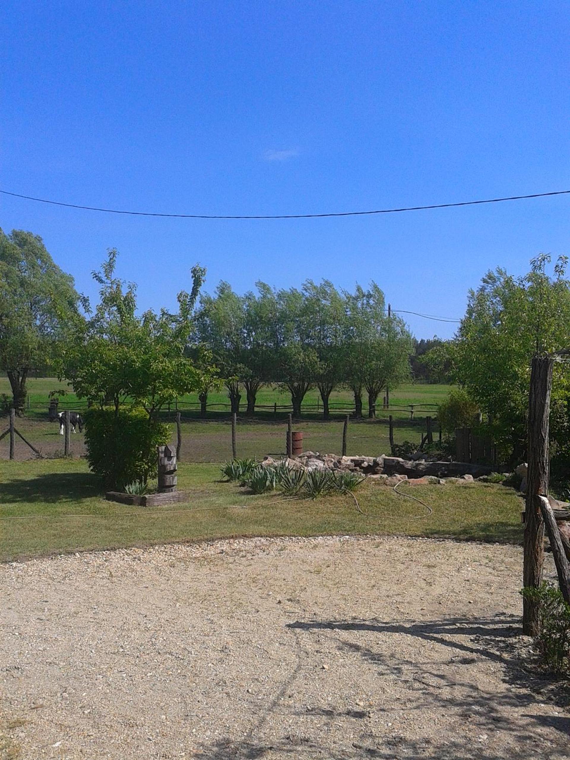 Photo 25