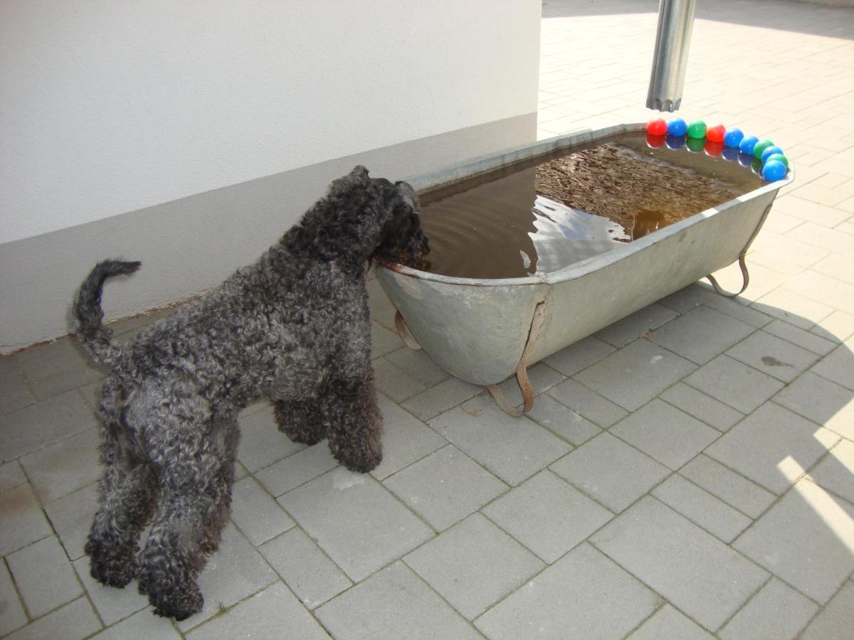 Photo 28