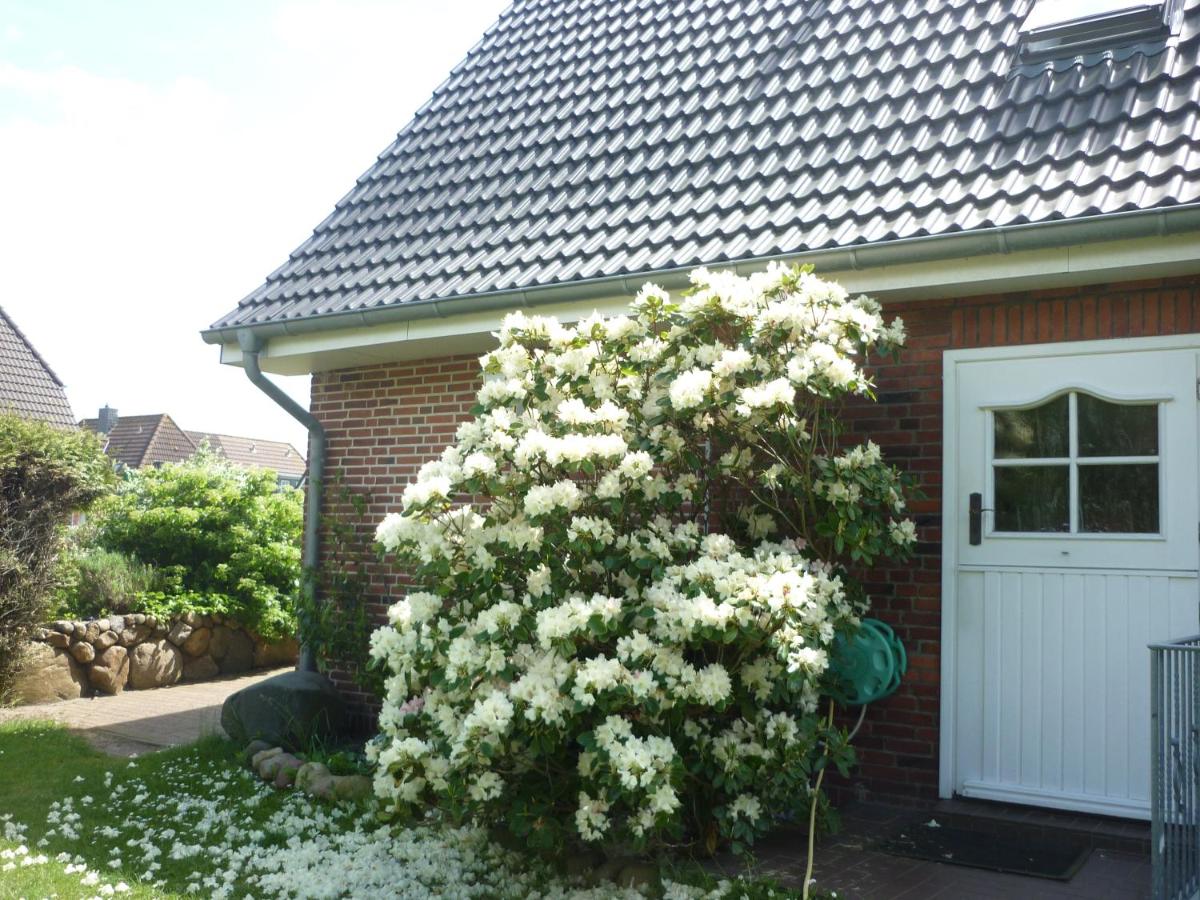 Pension Sturmmöwe