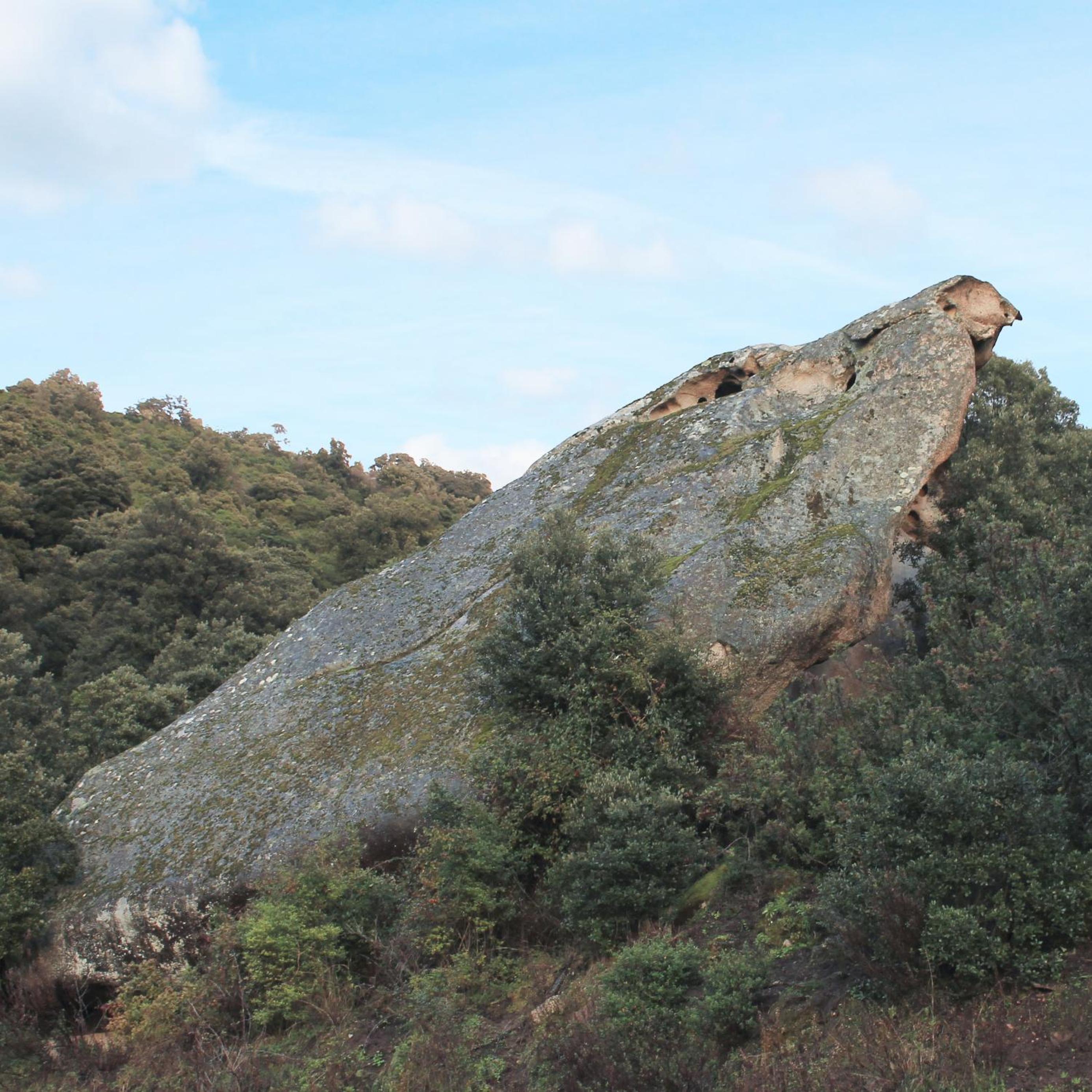 Photo 41