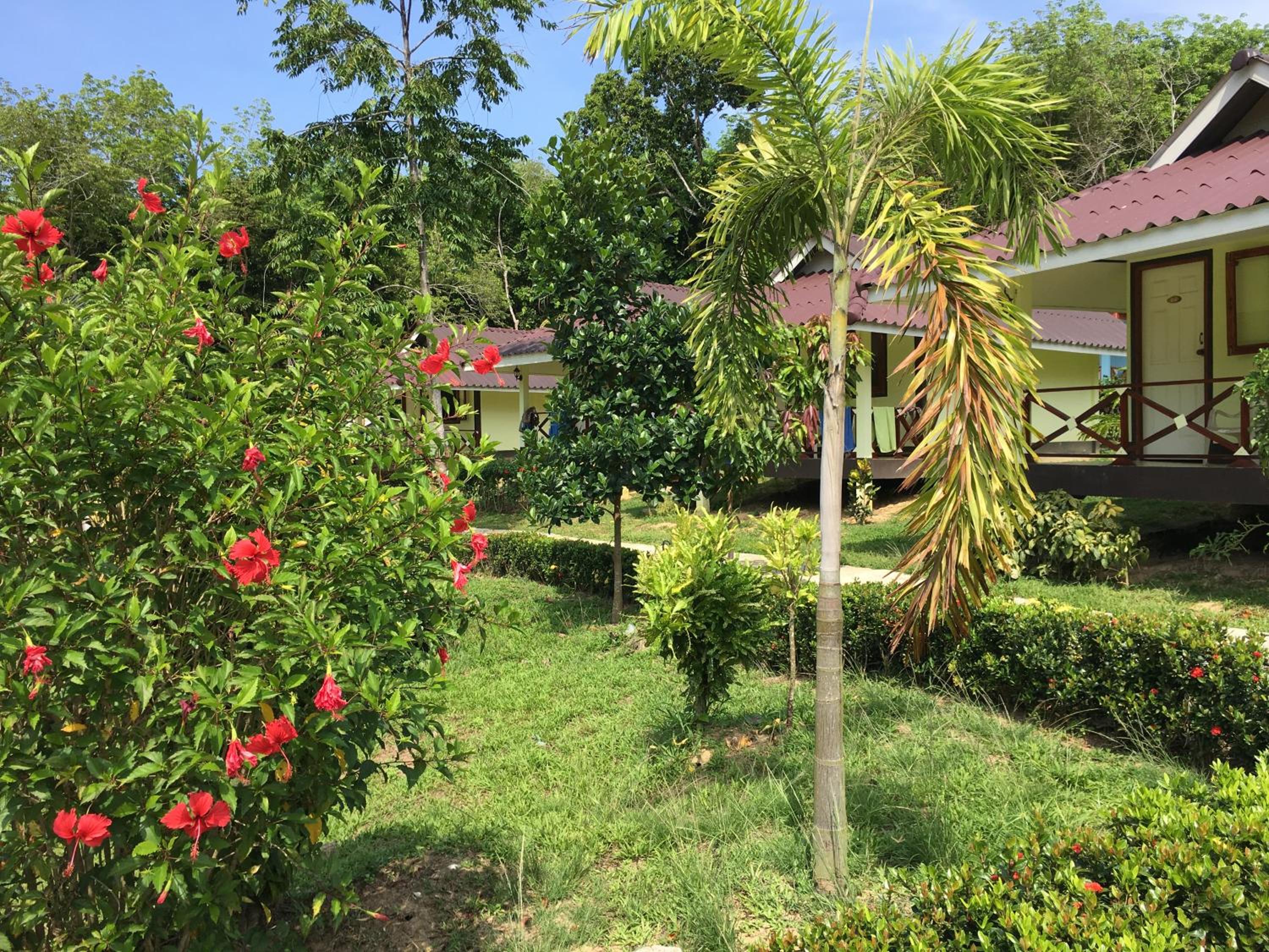 Mookies Bungalows