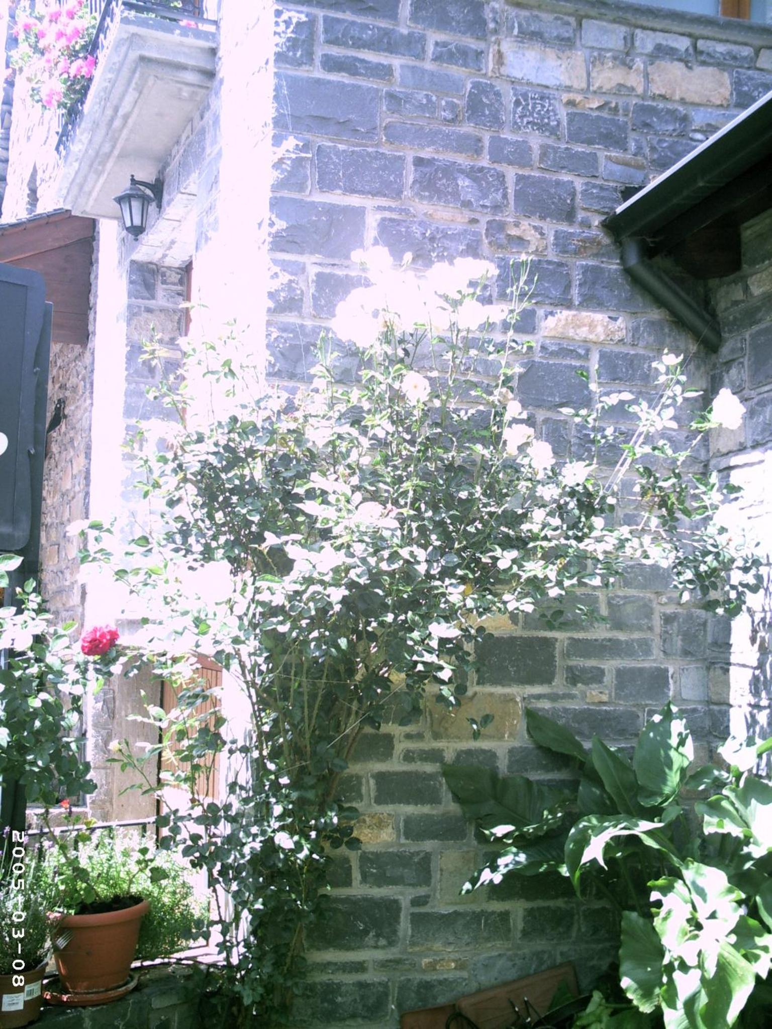 Apartamentos Gabarre en Broto