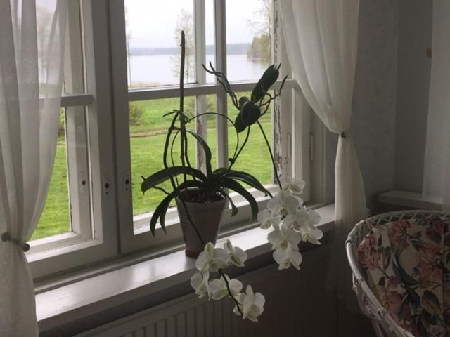 Lomatila Ollila Farm Stay