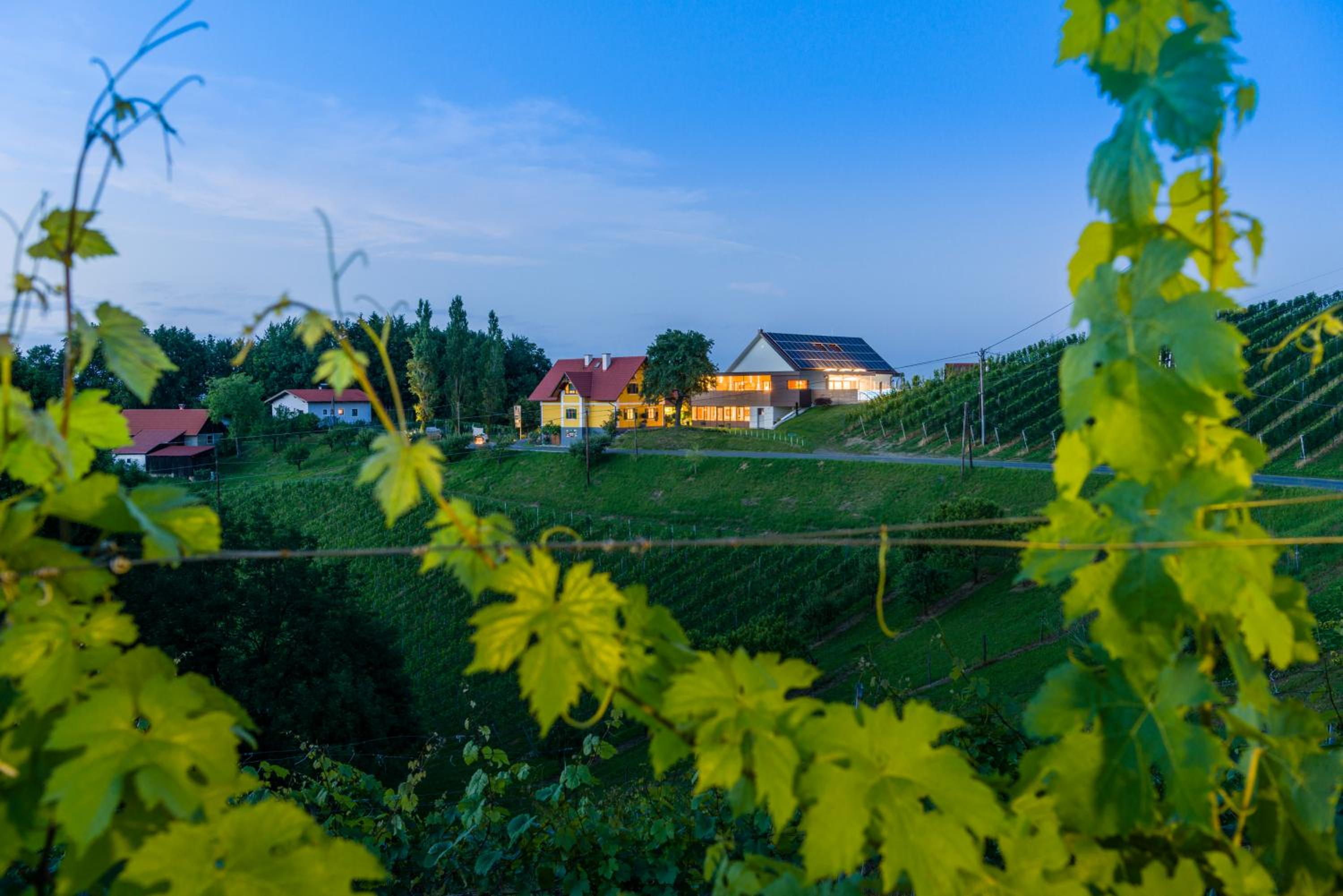 Weingut-Wohlfühlzimmer Adam-Lieleg