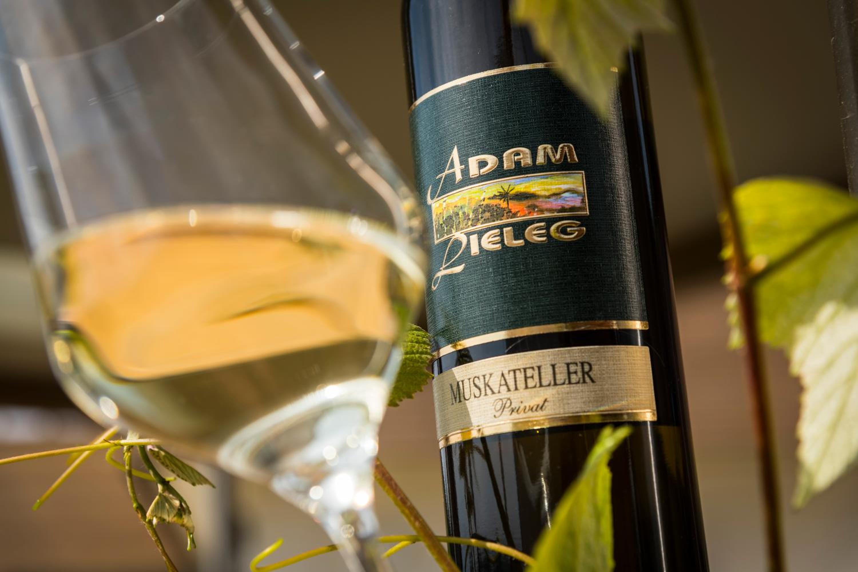 Weingut-Wohlfühlzimmer Adam-Lieleg