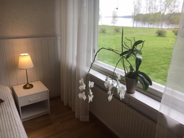 Lomatila Ollila Farm Stay