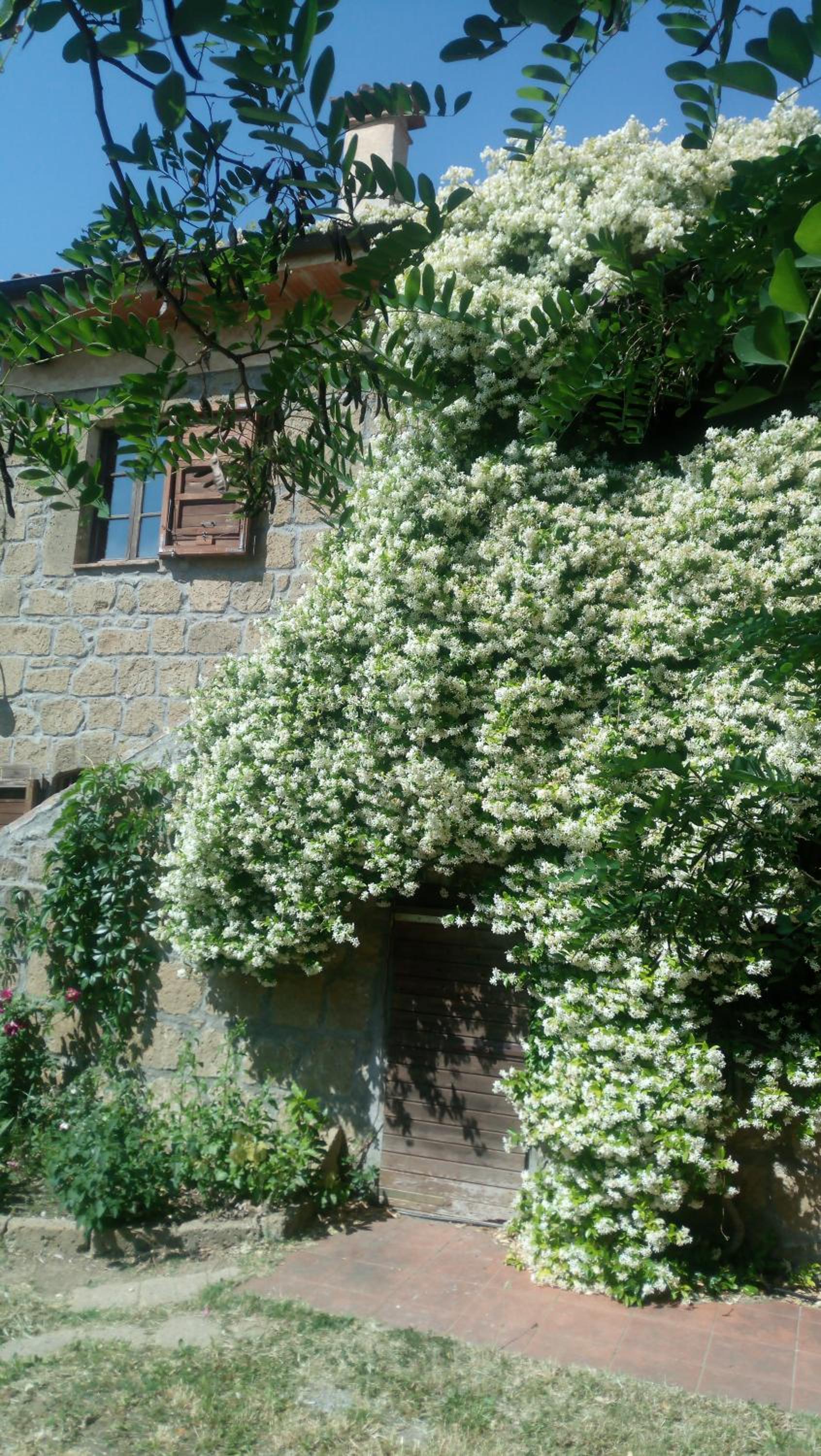 Agriturismo Solidor photo 4