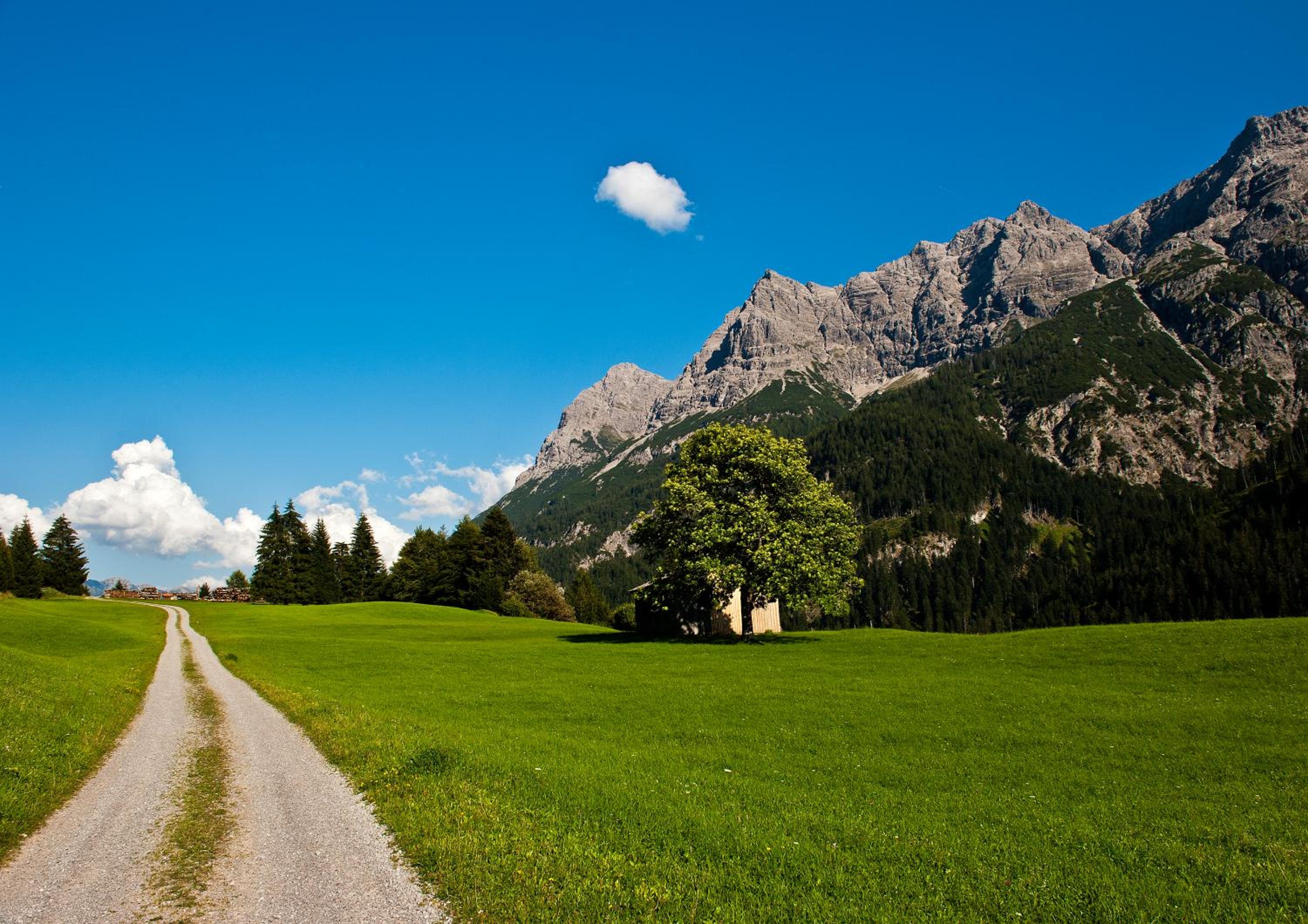 Hotel Tiroler Herz