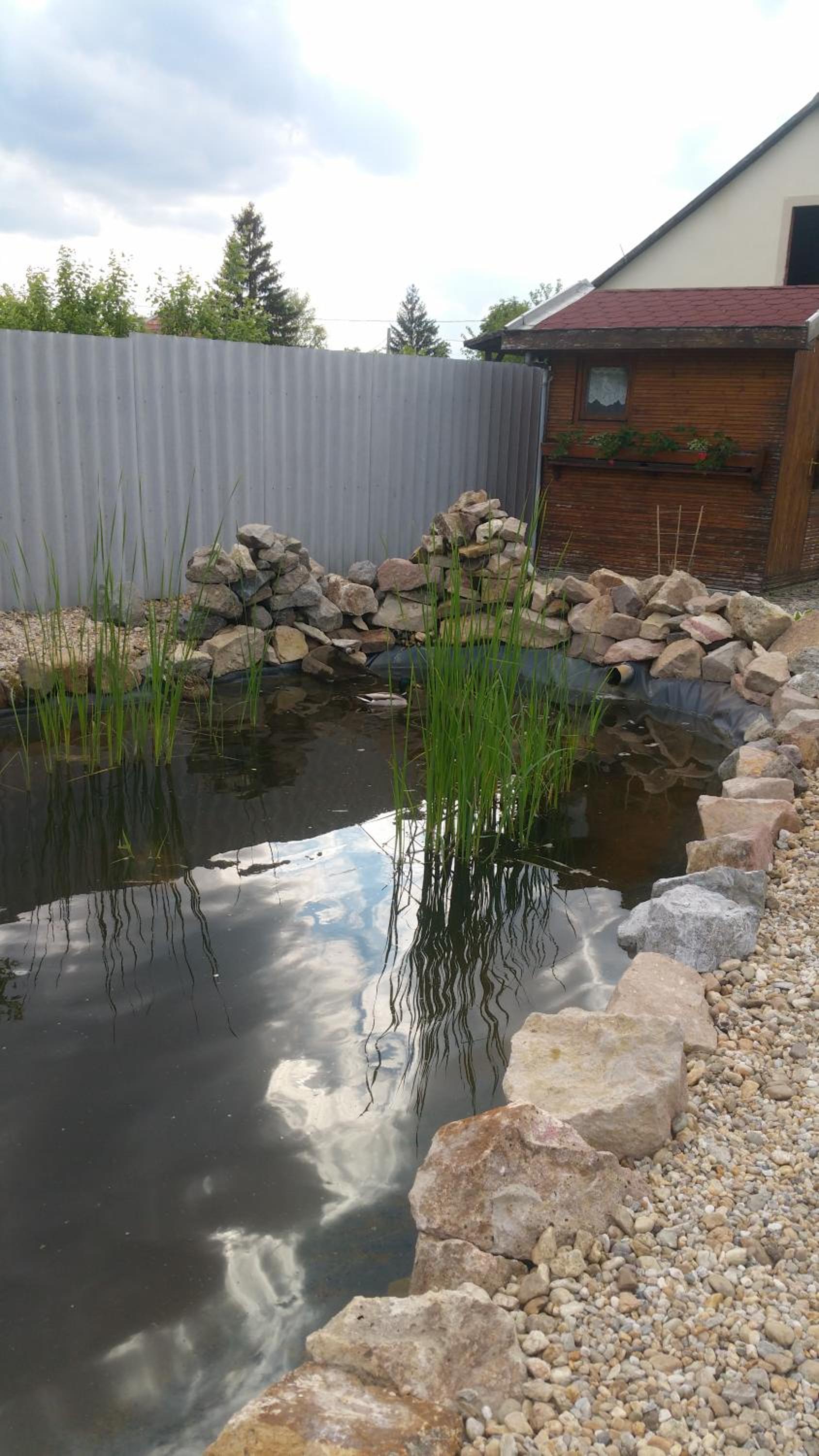 Photo 14