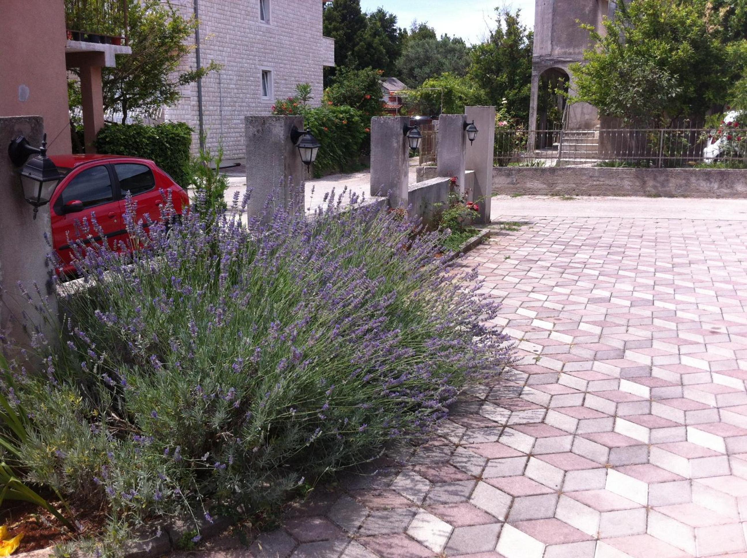 Photo 31