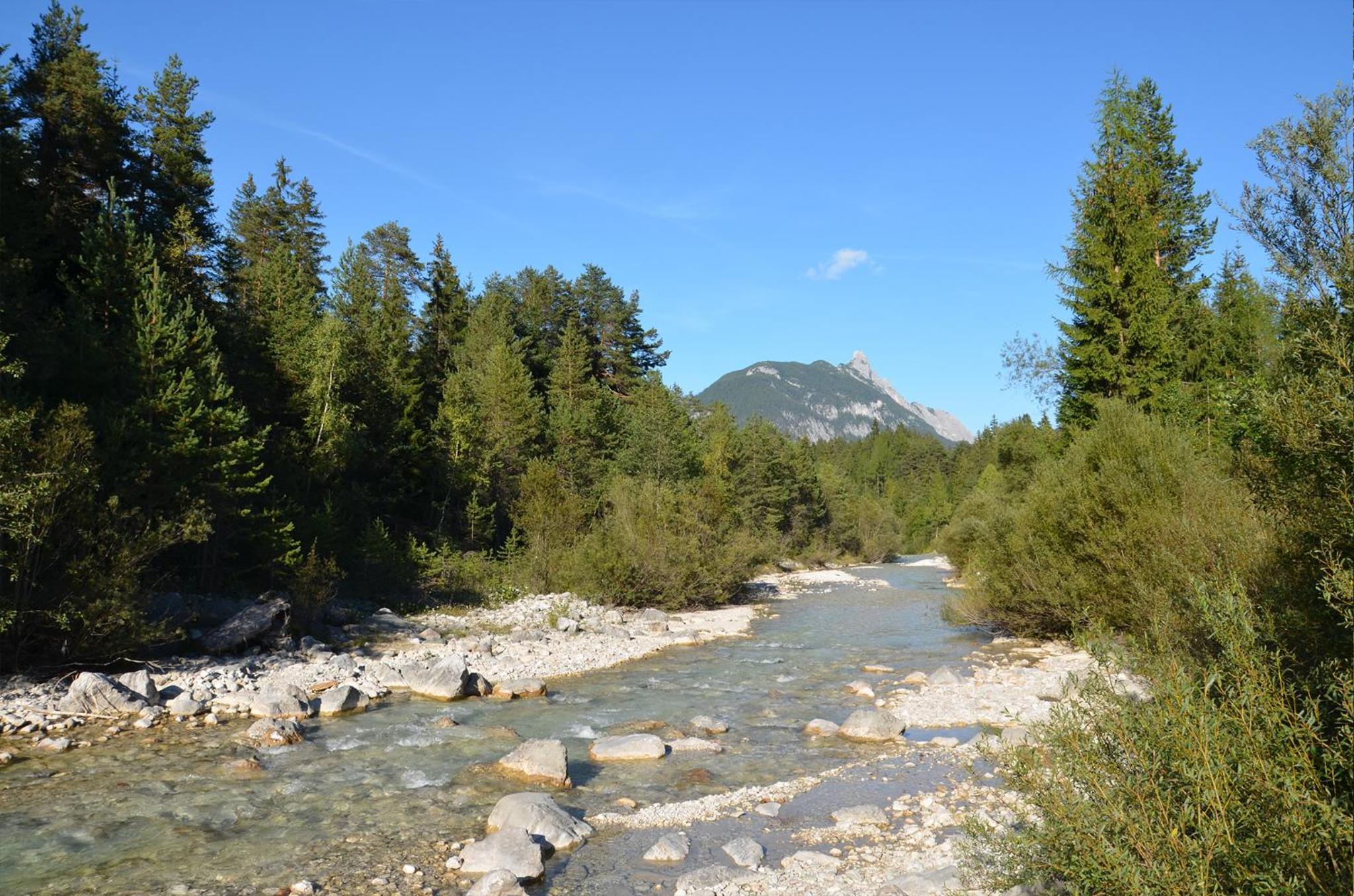 Photo 40