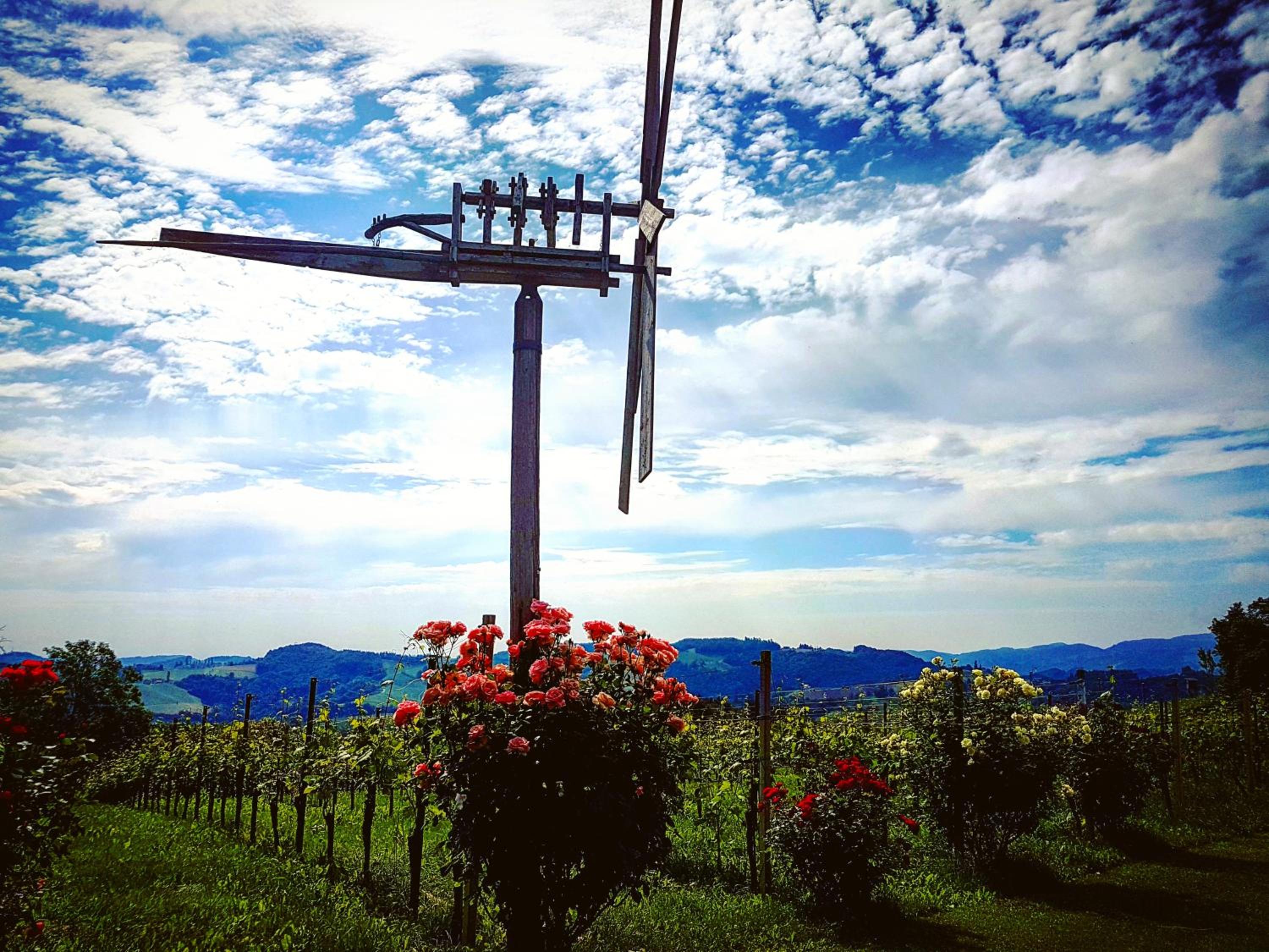 Weingut-Wohlfühlzimmer Adam-Lieleg