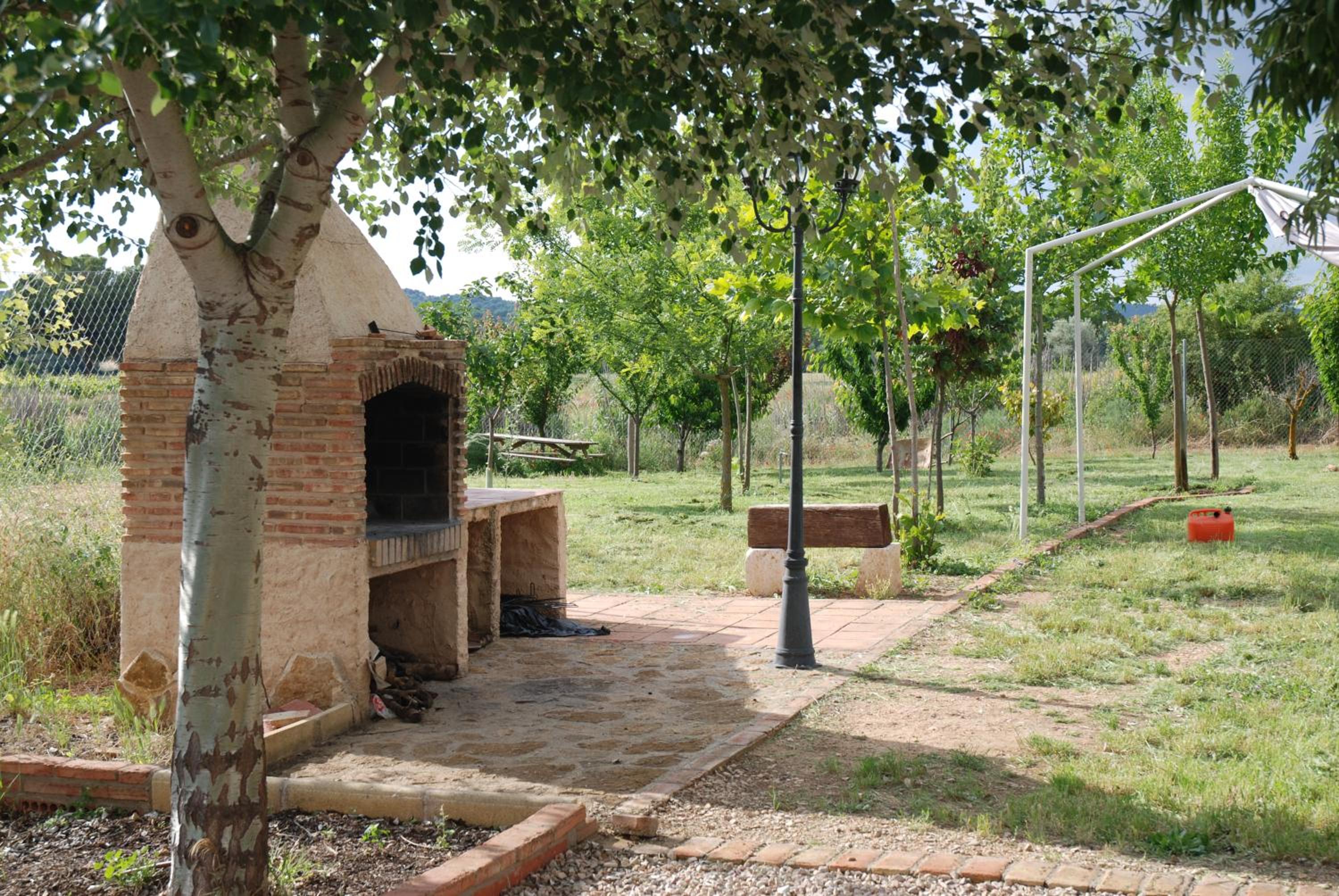 Photo 41