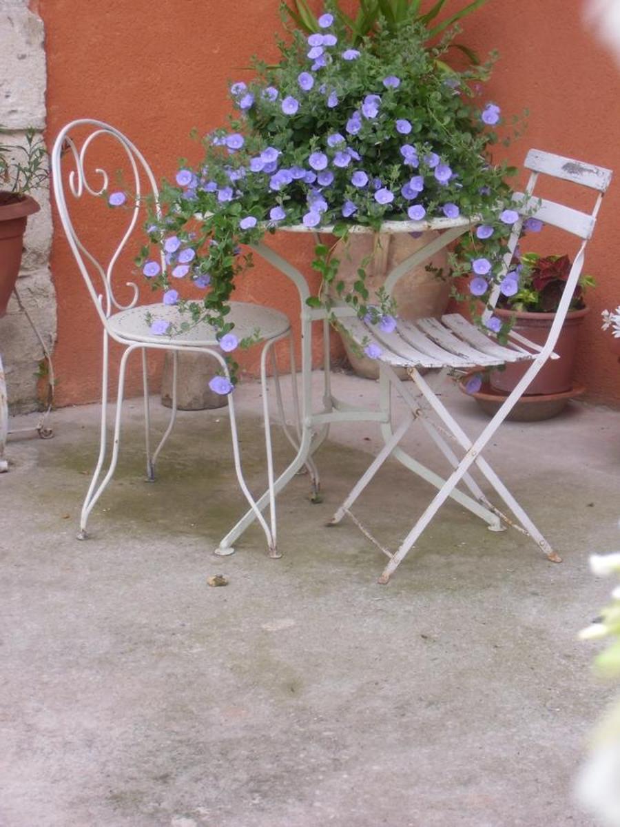 Photo 17