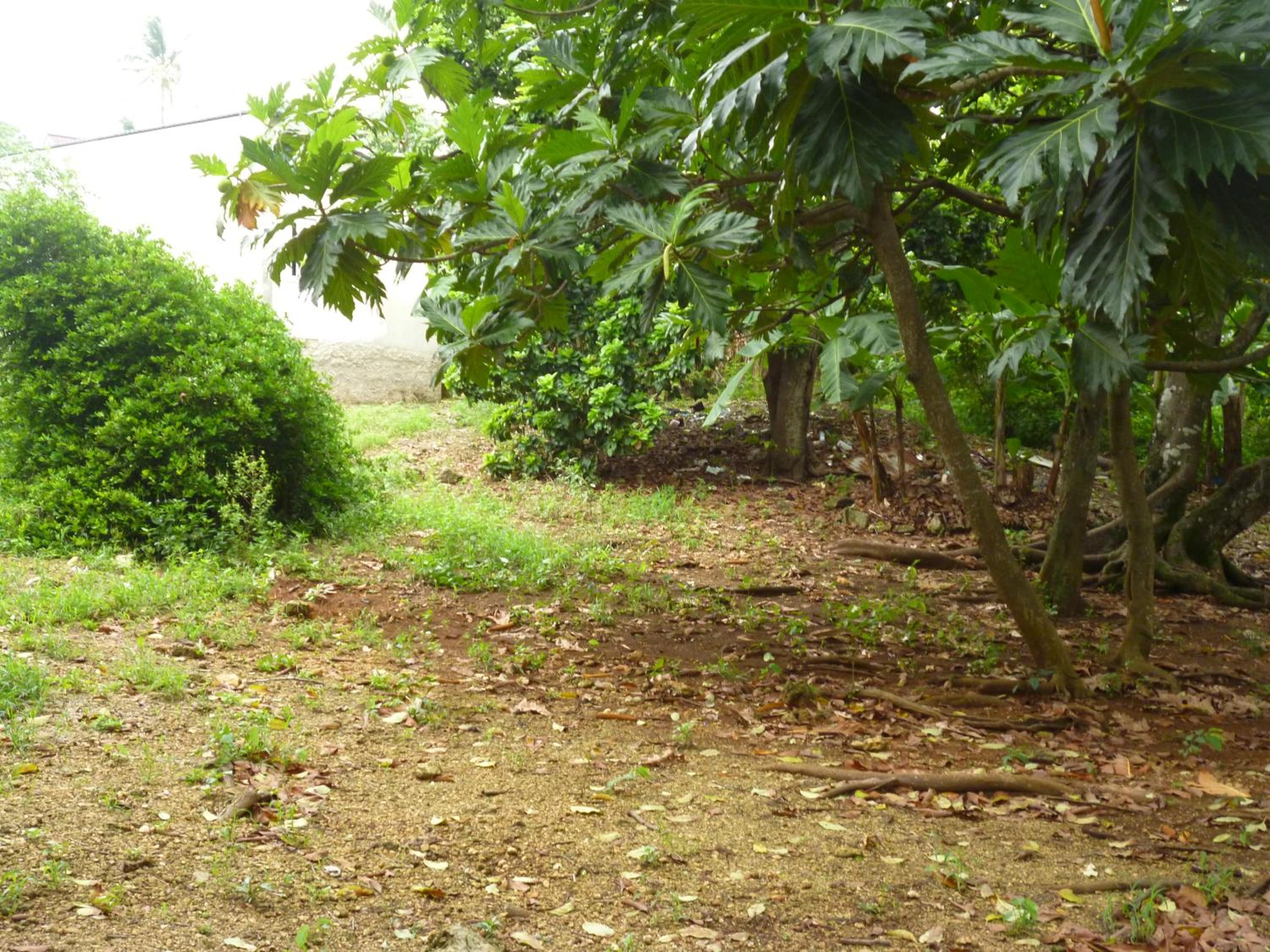Photo 48