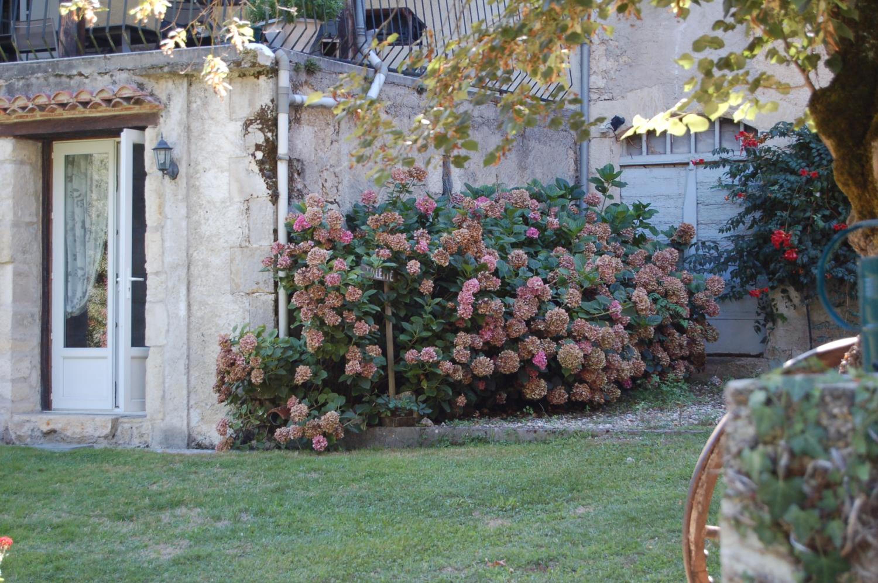 Photo 49