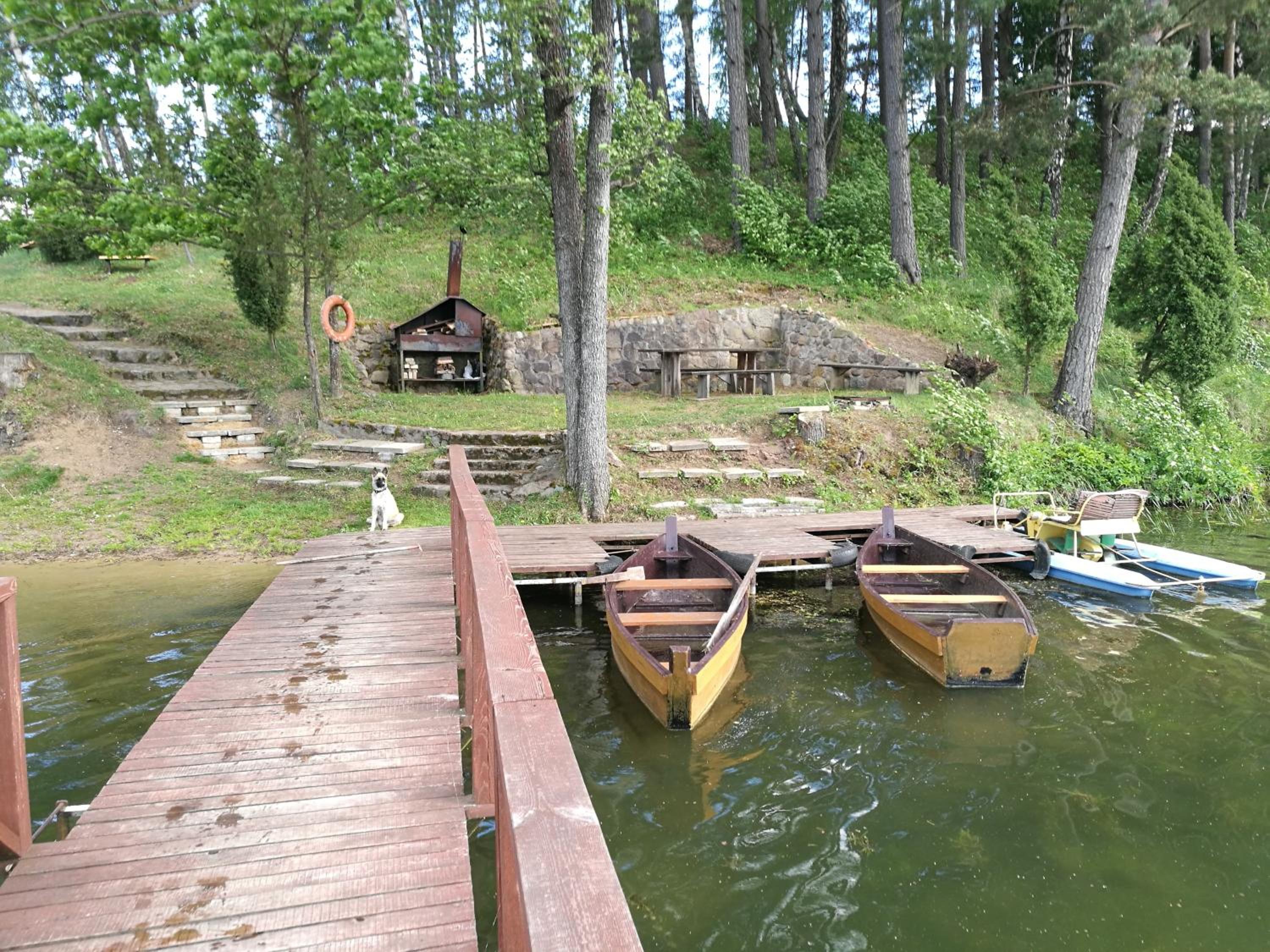 Photo 21