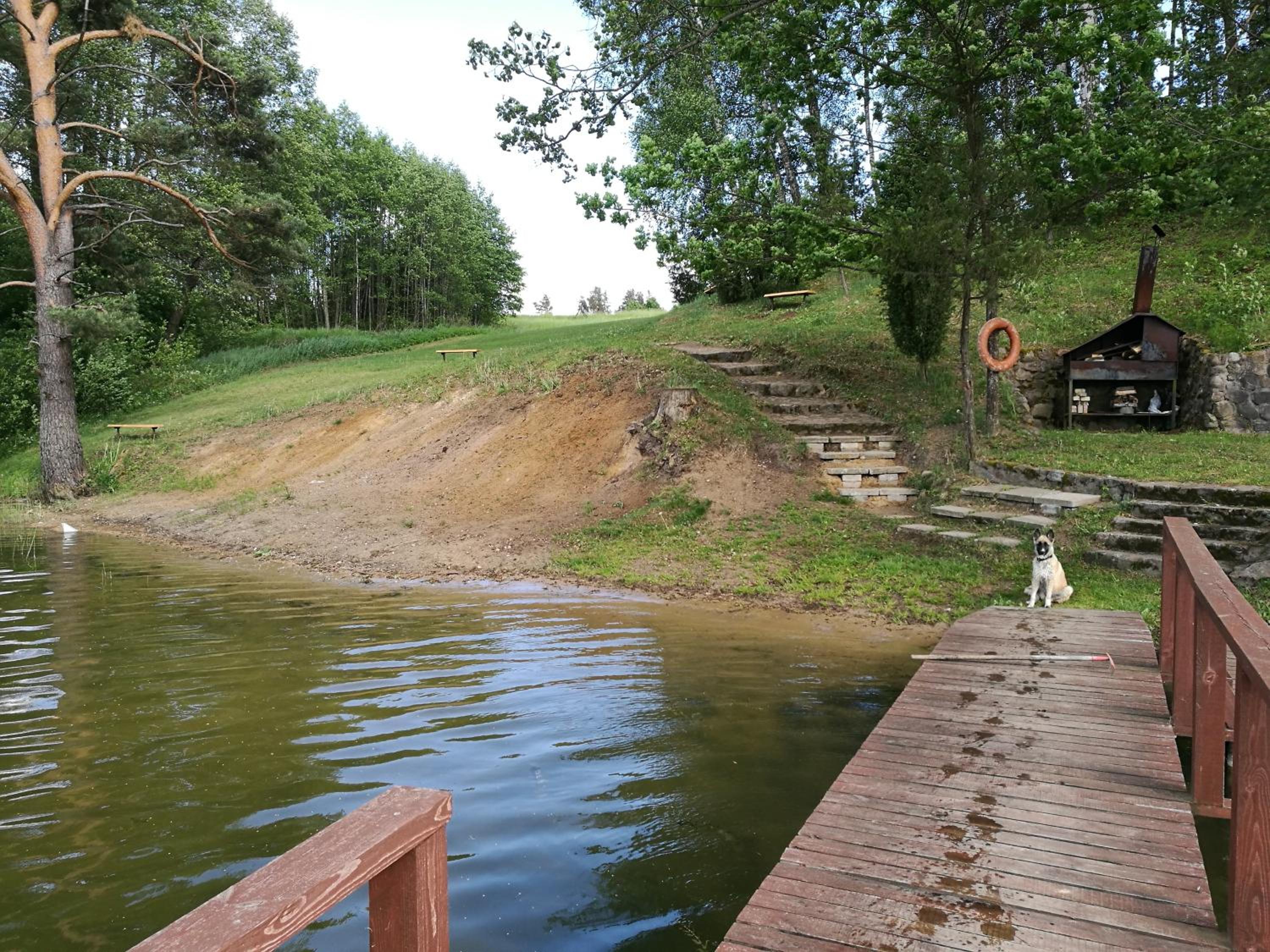 Photo 19