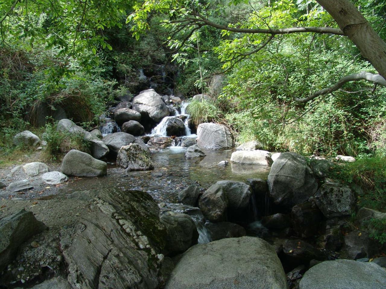 Photo 46