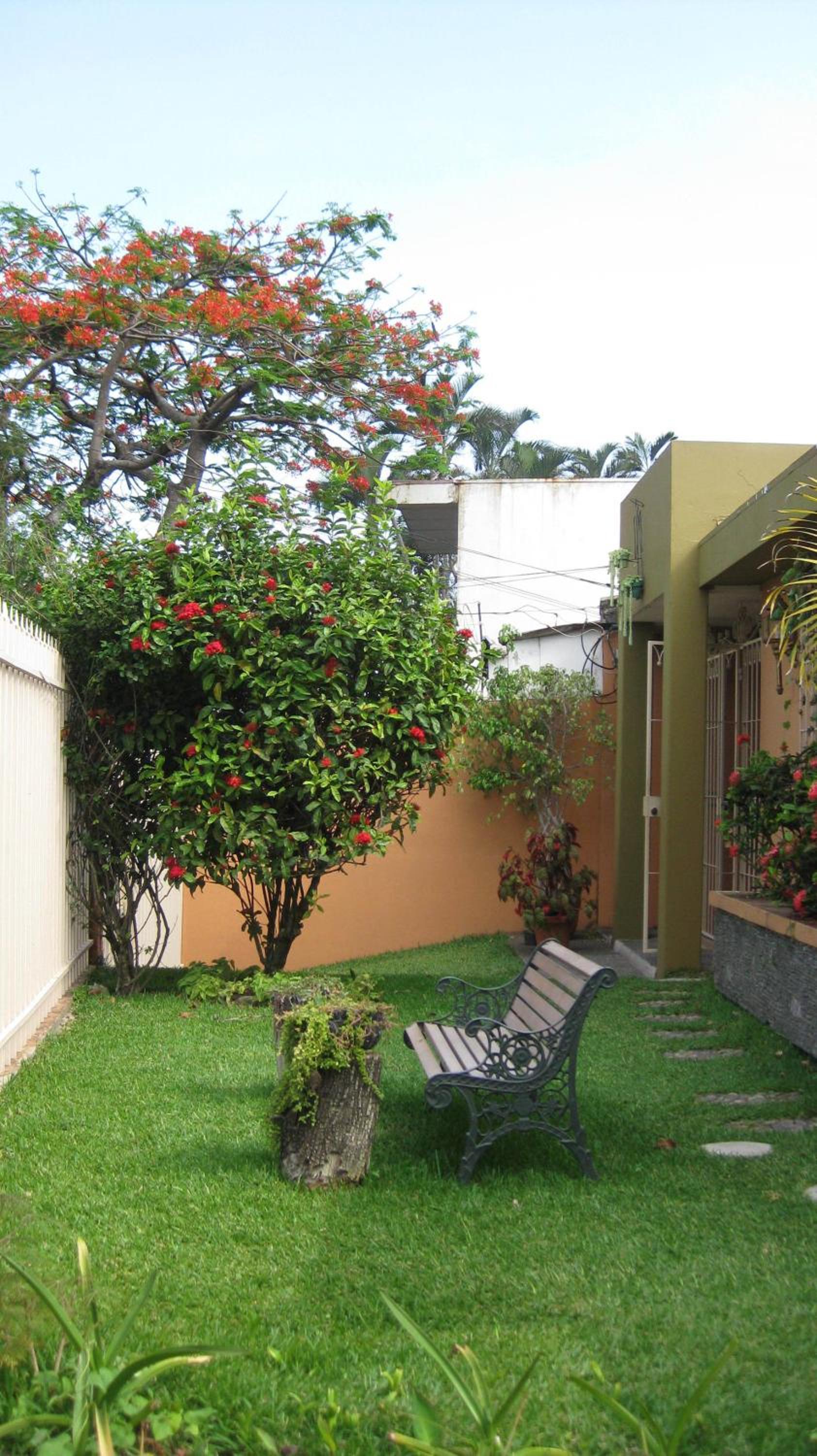 Photo 49