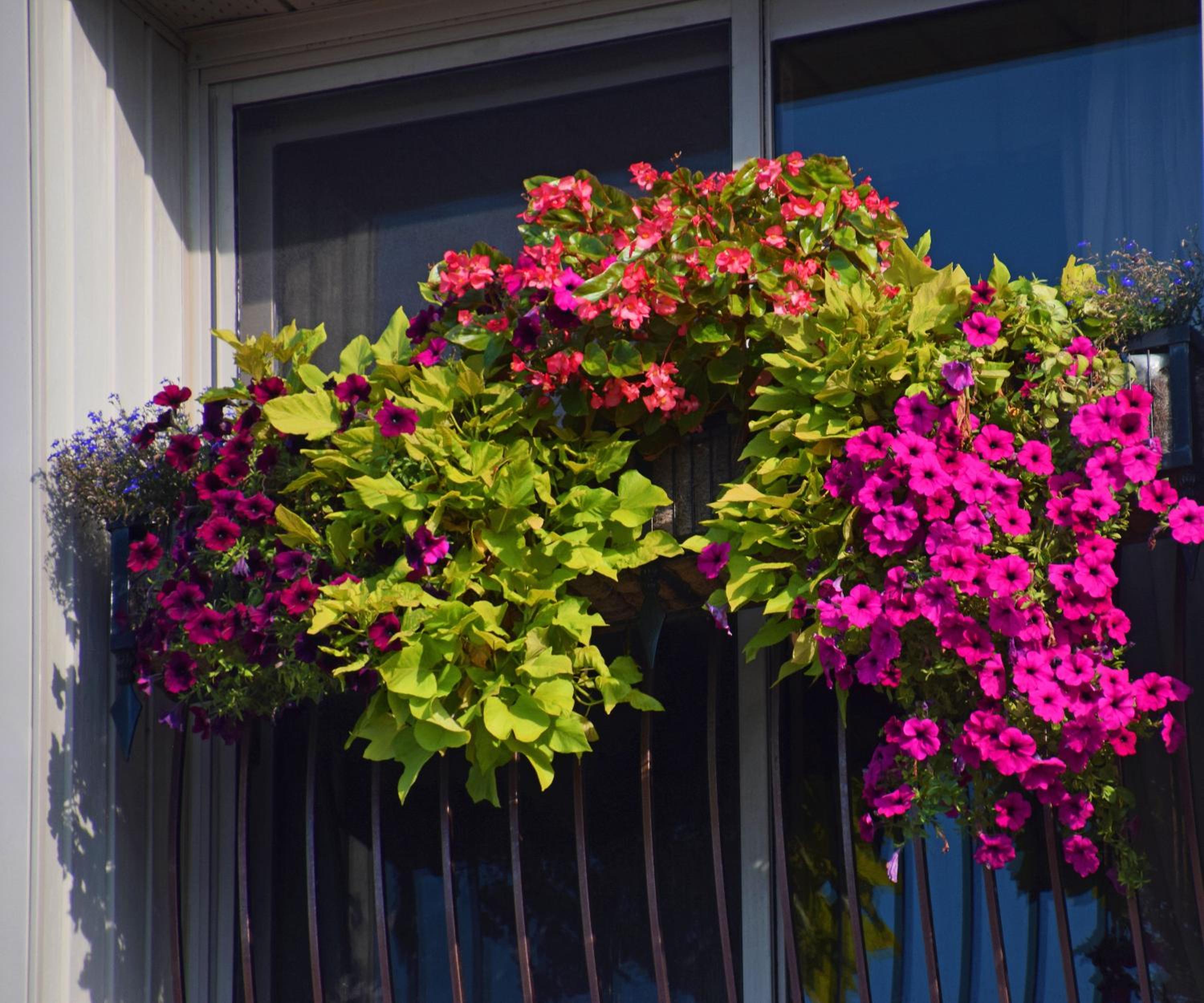 Orillia Vacations - Stone Gate Inn - Property Image 4