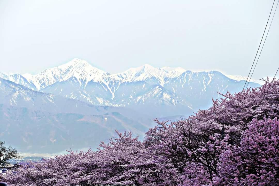 一組限定の貸切空間 Guest House Engiya