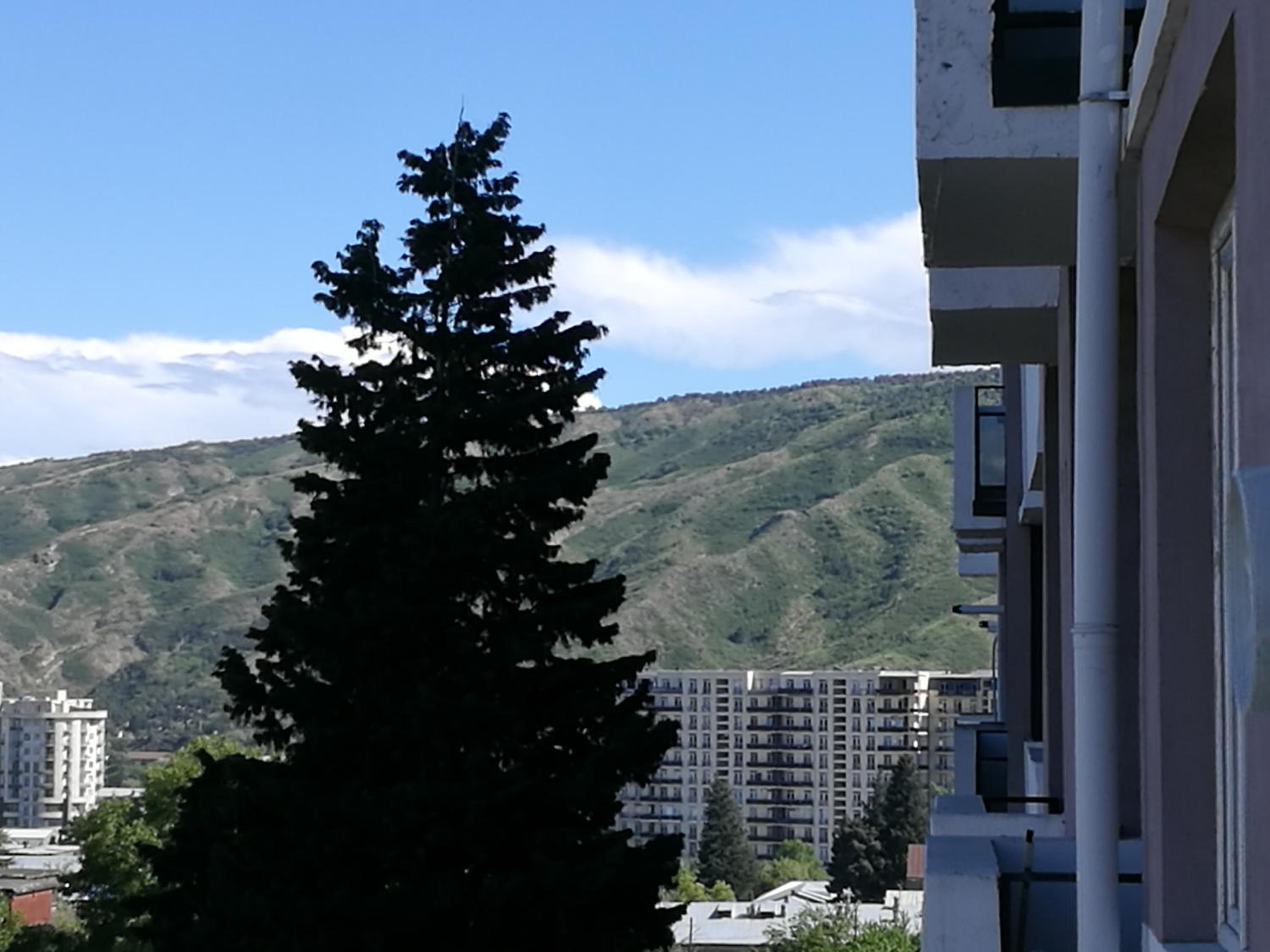 Apartment Irma