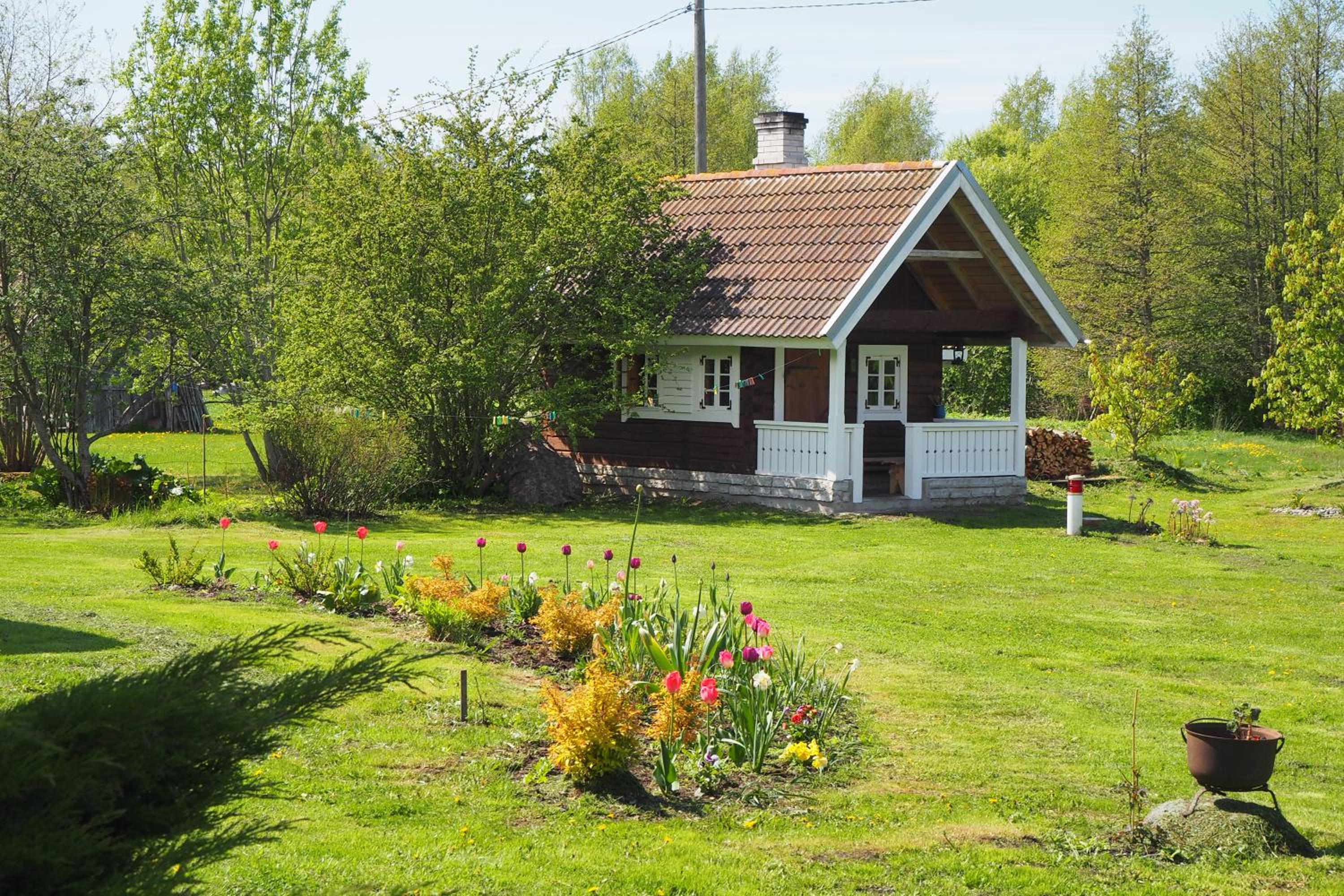 Photo 25
