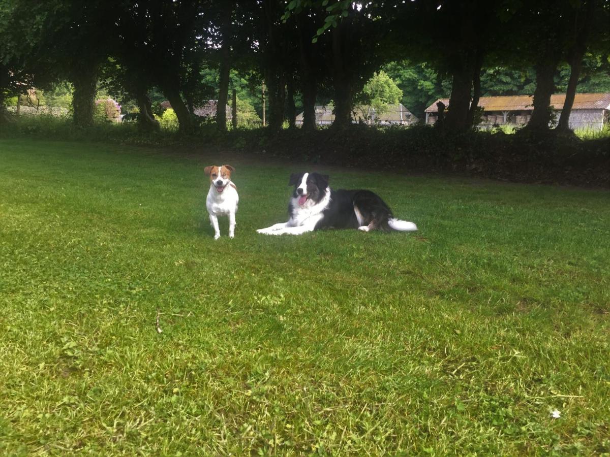 Photo 43