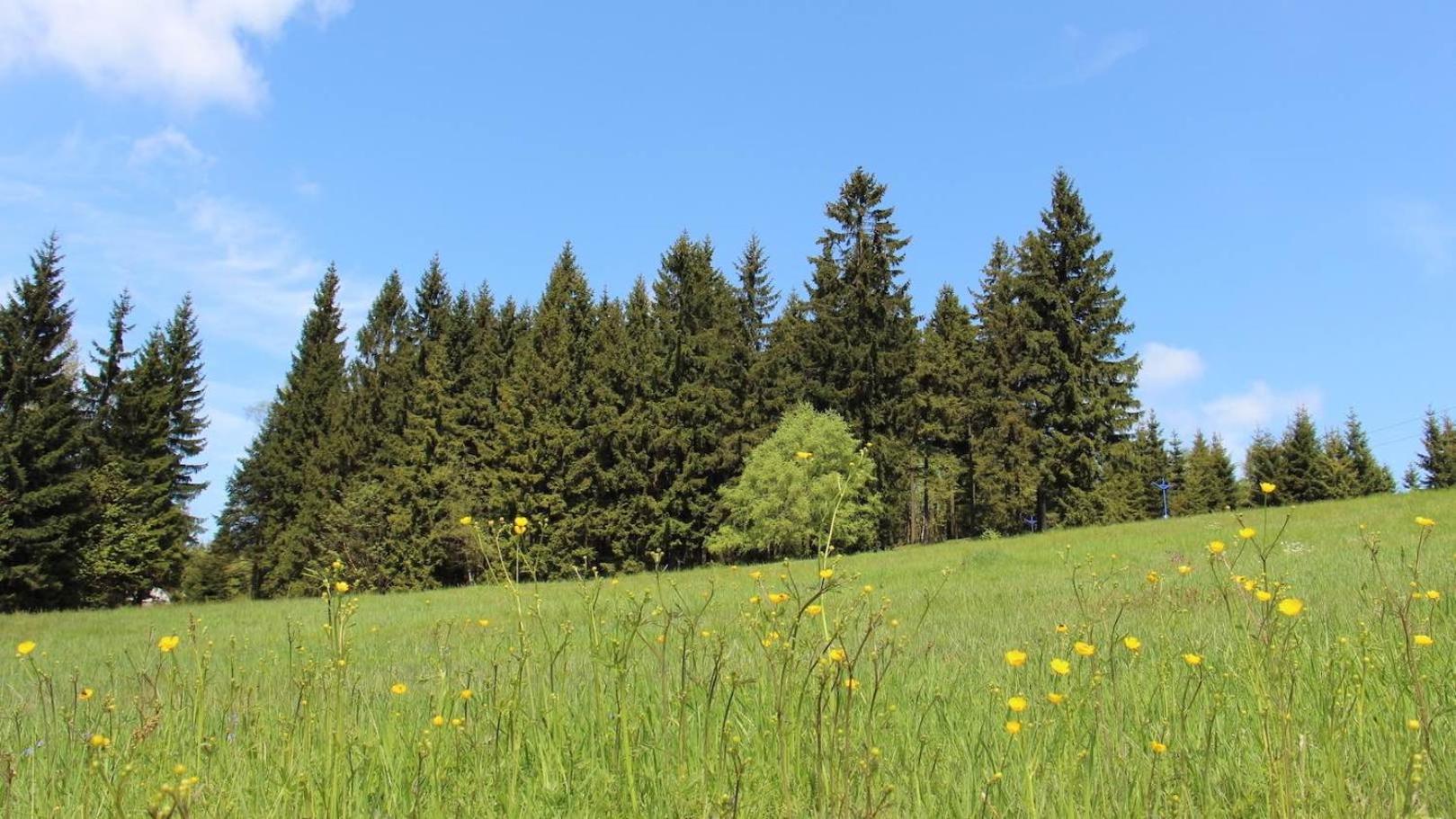 Horská vila Wander