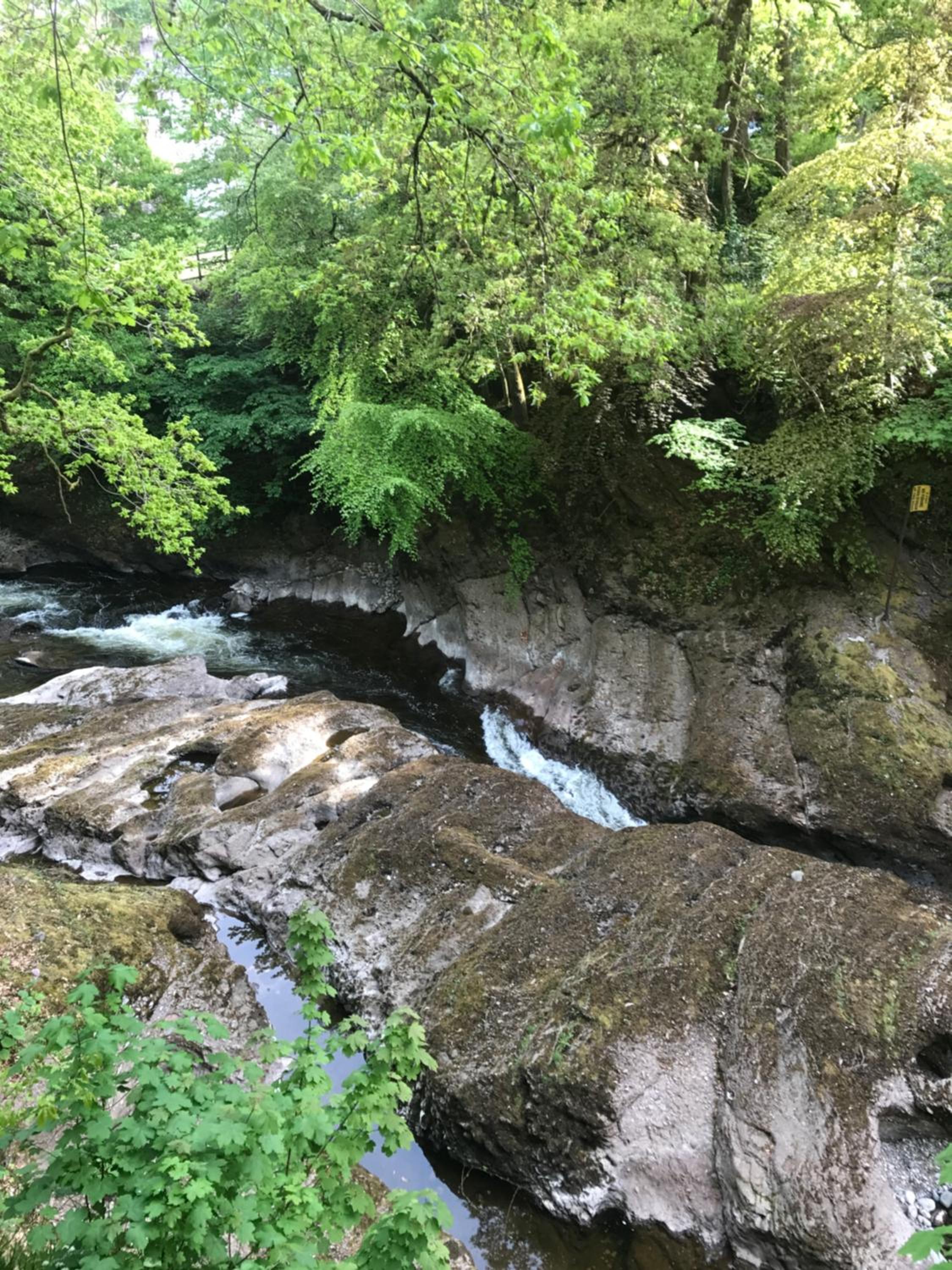 Photo 20