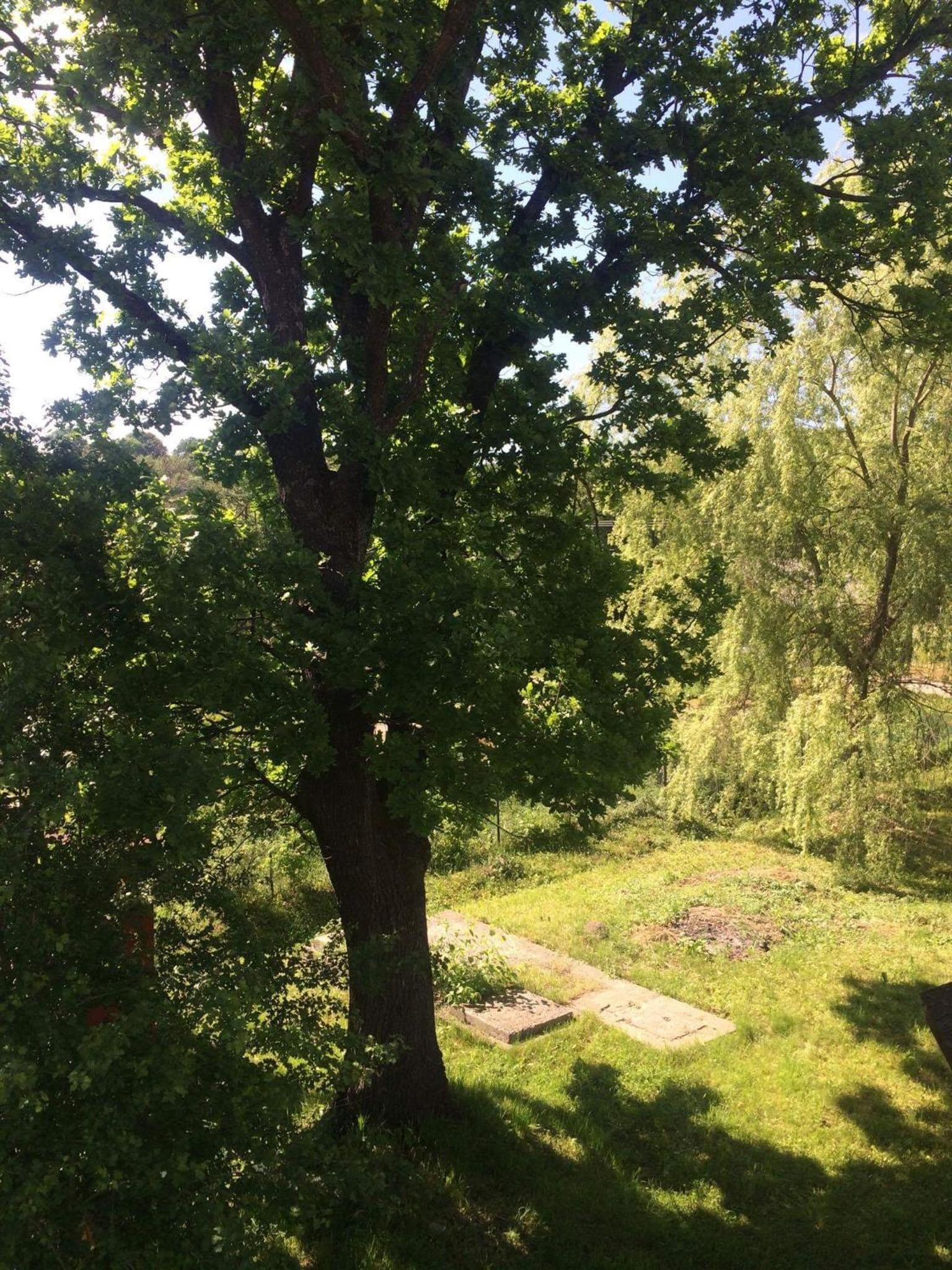 Photo 29