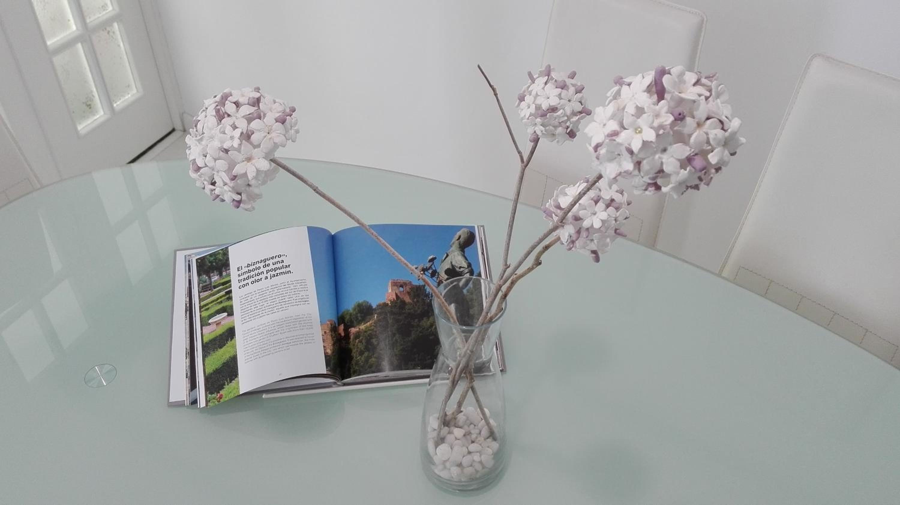 Apartamento E&R Málaga Centro- Parking gratis